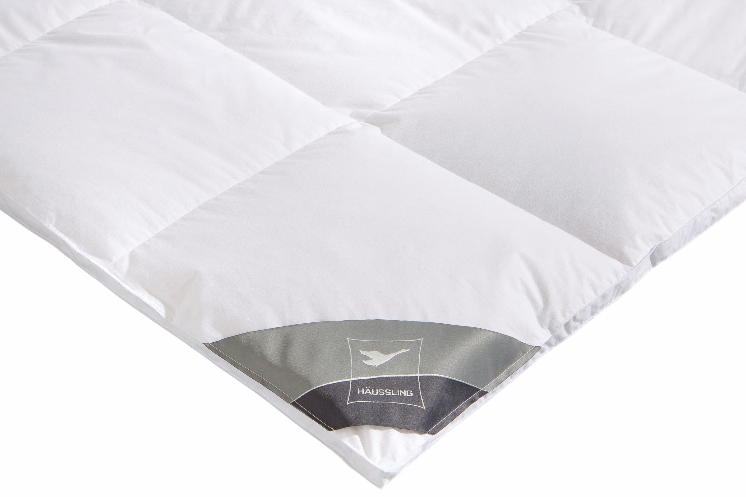 Haeussling Daunenbettdecke + Kopfkissen »Kuscheltraum«, (Spar-Set)