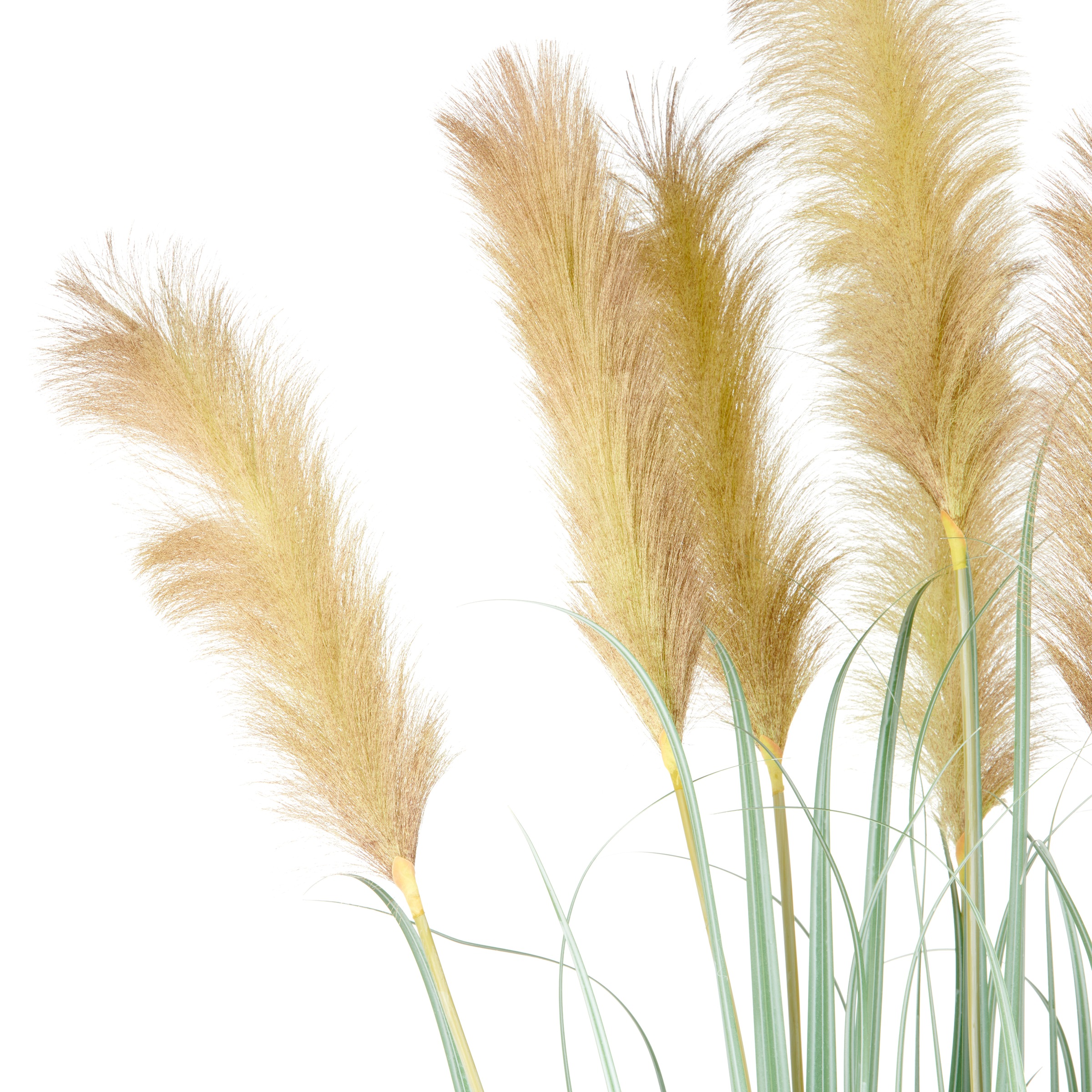 Creativ green Kunstgras "Grasbusch Cortaderia", in opulenter Größe günstig online kaufen