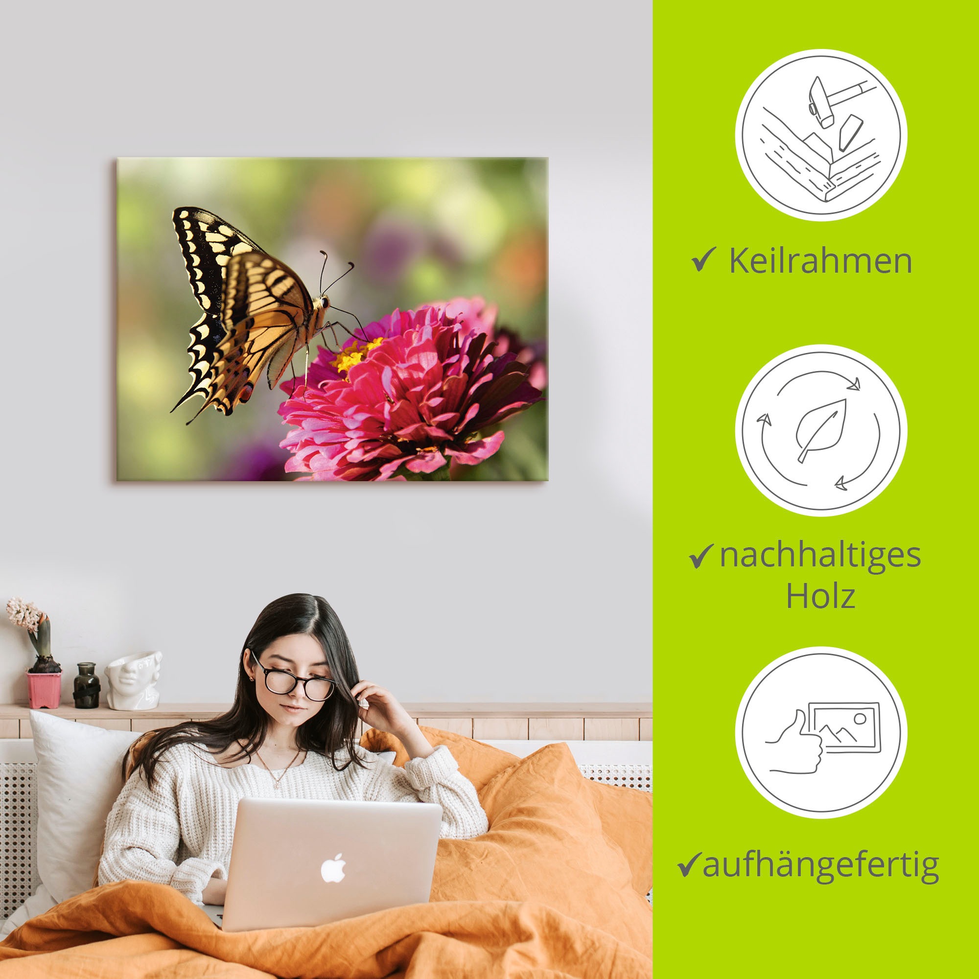 Artland Leinwandbild »Schmetterling«, Insekten, (1 St.), auf Keilrahmen gespannt