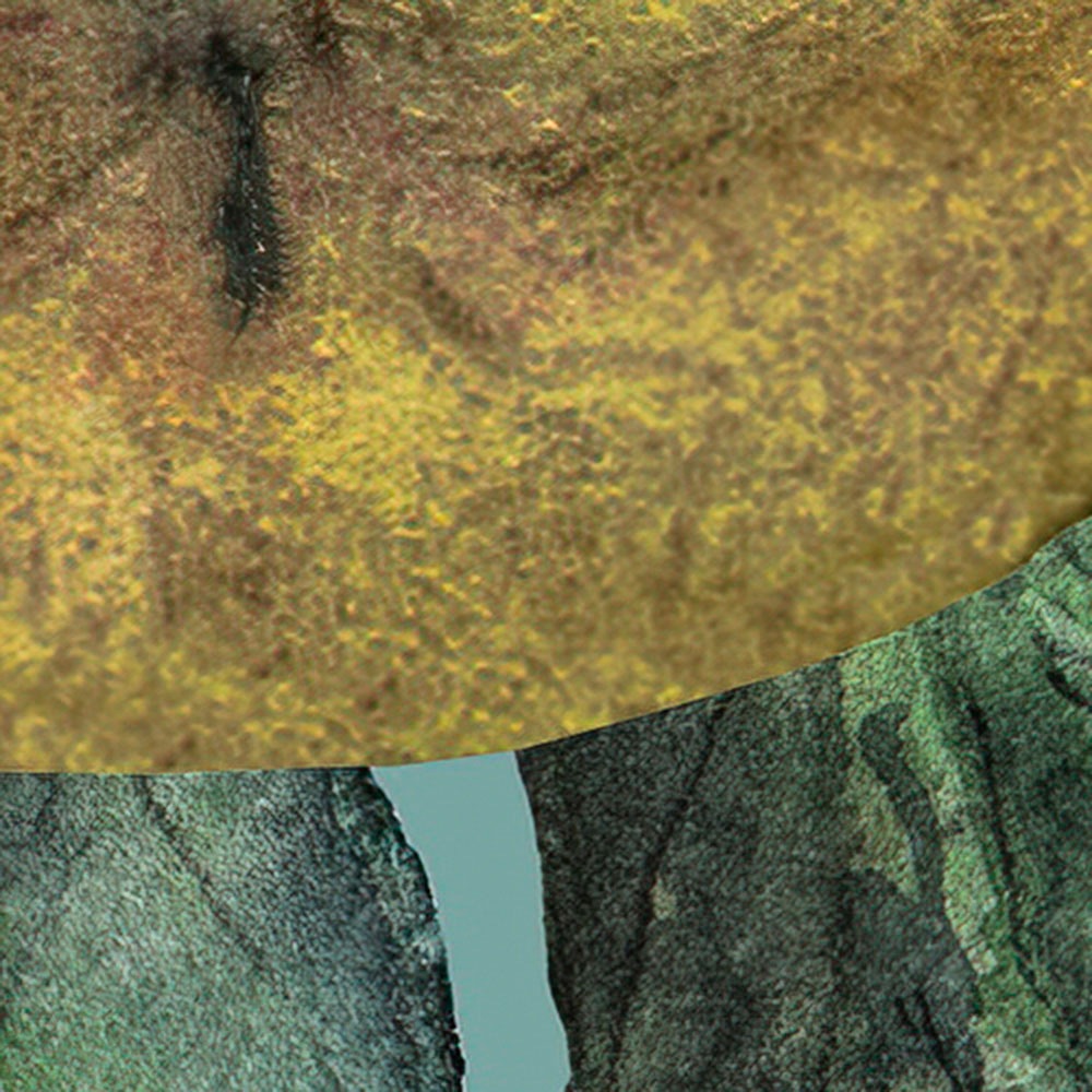 Komar Fototapete »Digitaldruck Vlies - Bellezza - Größe 300 x 250 cm«, bedruckt, Wohnzimmer, Schlafzimmer