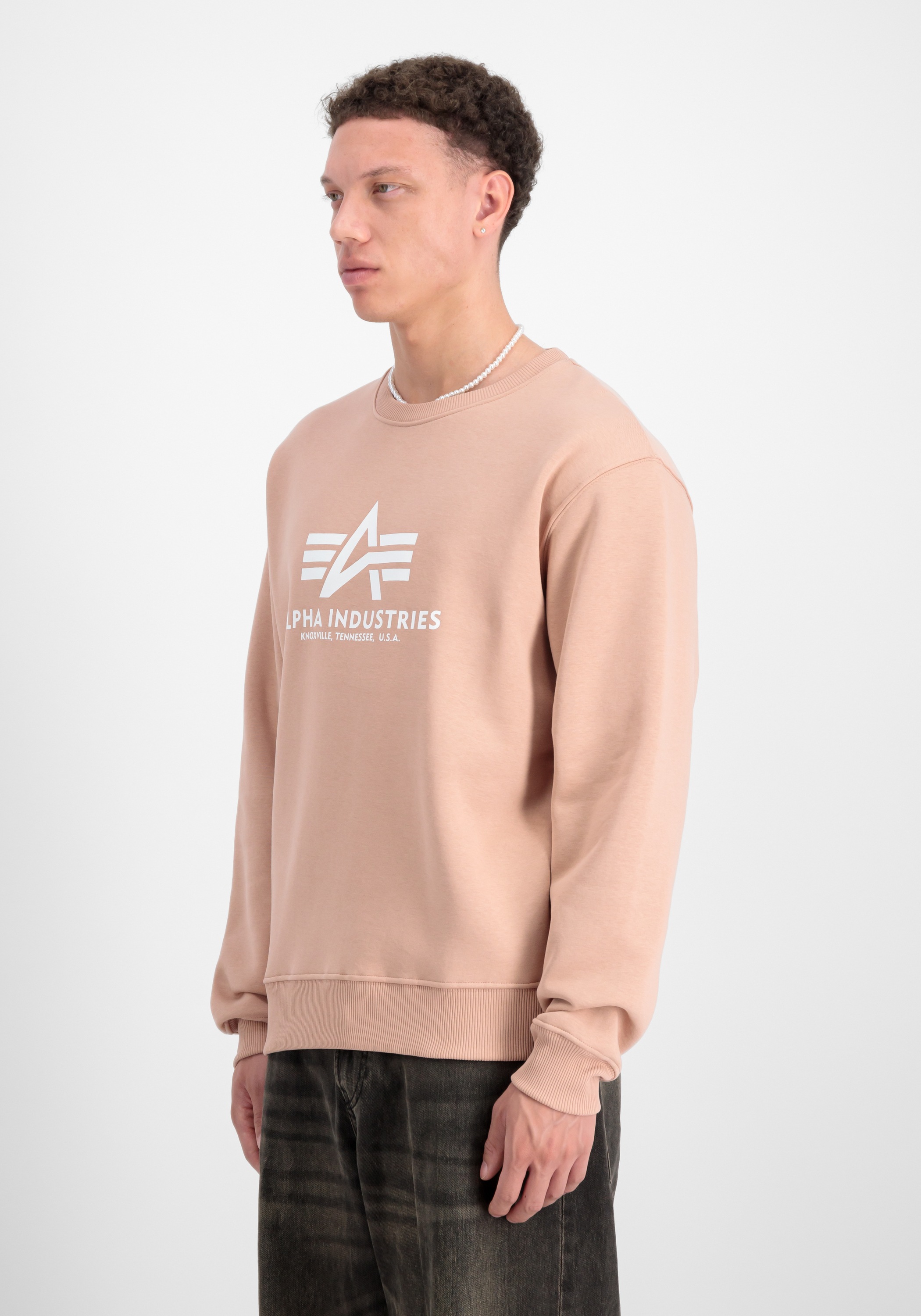 Alpha Industries Sweater »Basic Sweatshirt BL«