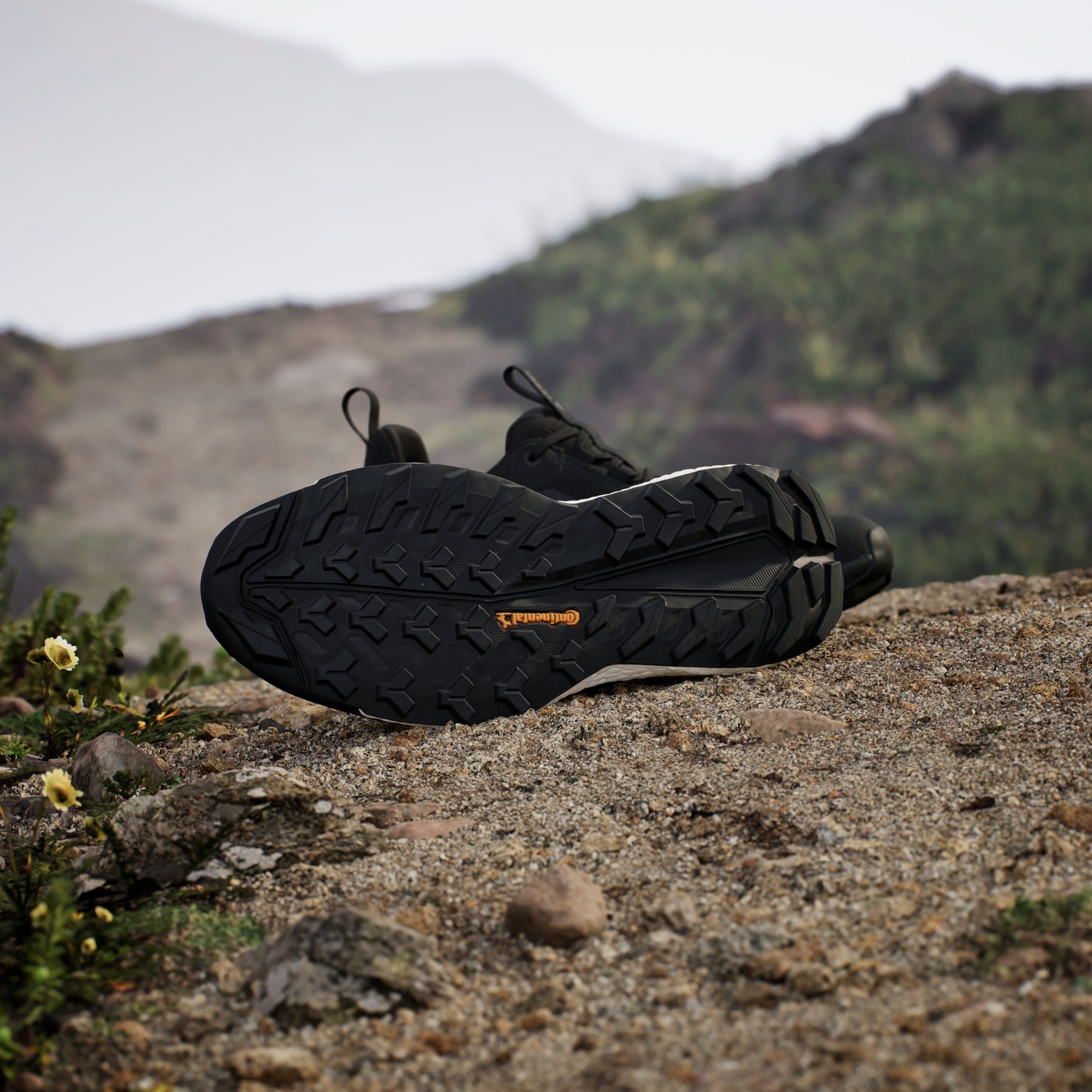 adidas TERREX Wanderschuh »TERREX FREE HIKER 2.0 LOW GORE-TEX«, wasserdicht