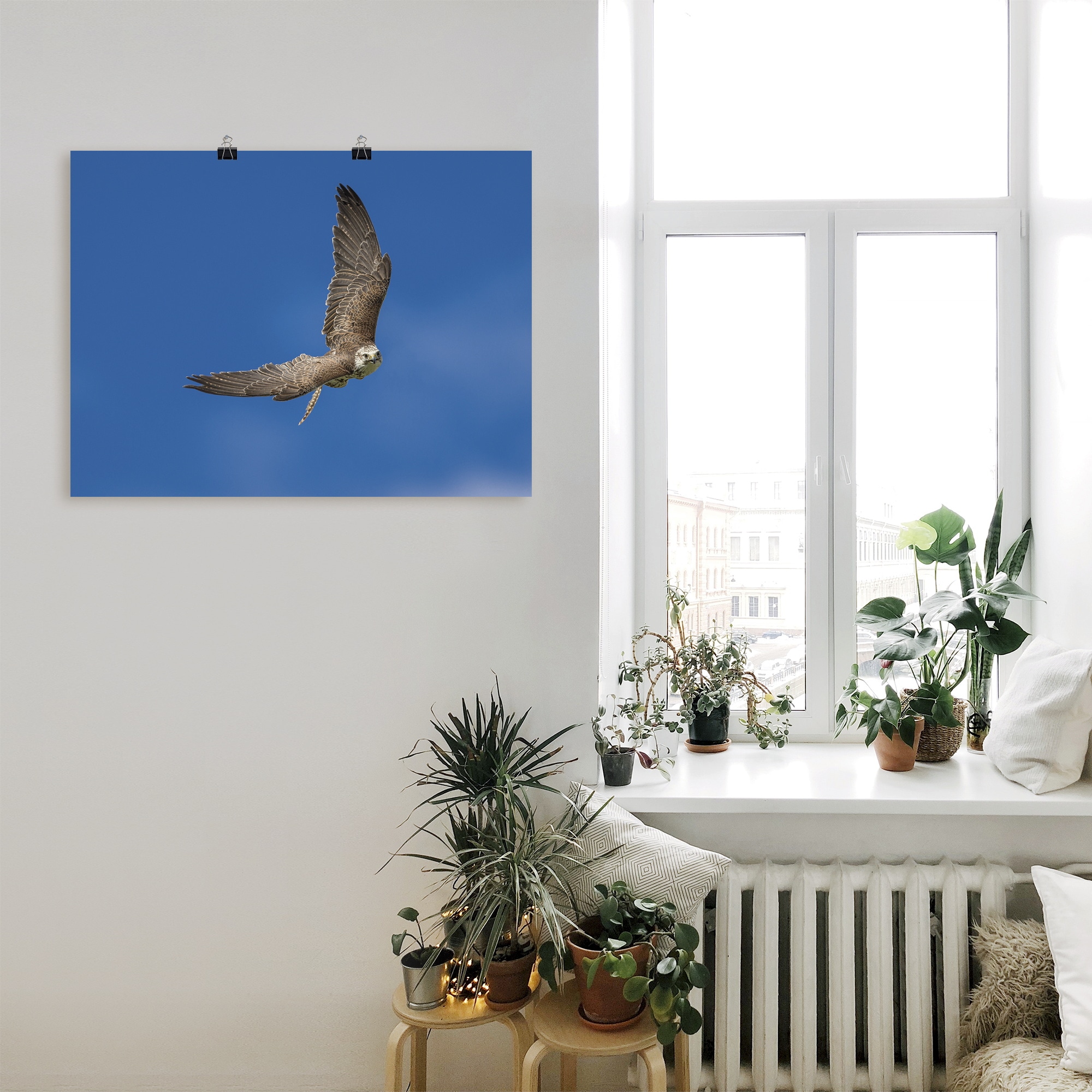 Artland Wandbild »Der Falke«, Vögel, (1 St.), als Leinwandbild, Poster in verschied. Größen