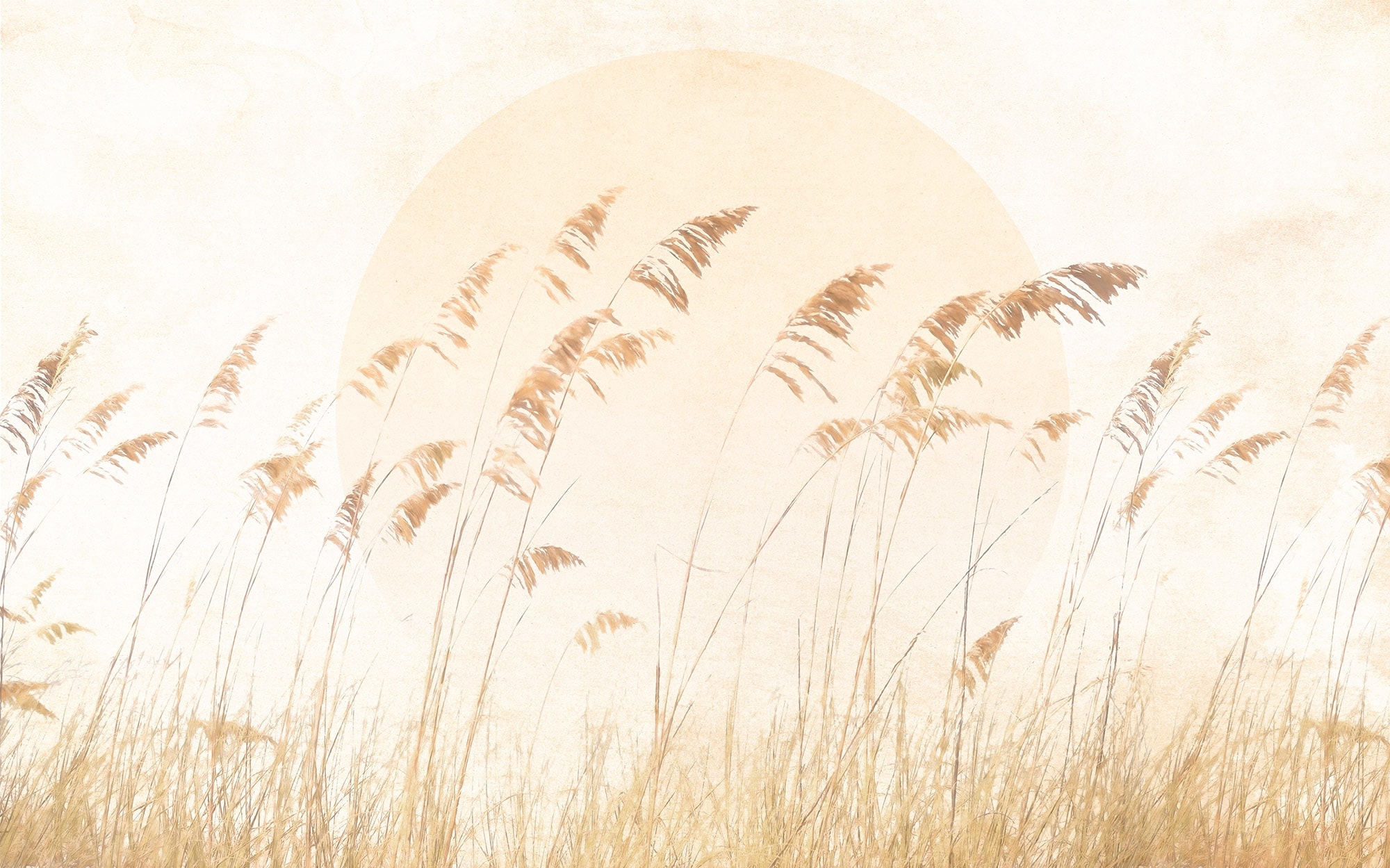 Vliestapete »Dune Grass«, 400x250 cm (Breite x Höhe)