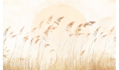 Vliestapete »Dune Grass«, 400x250 cm (Breite x Höhe)