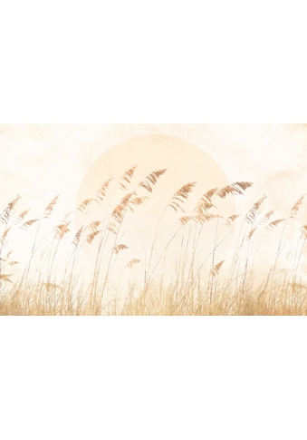 Komar Vliestapete »Dune Grass« 400x250 cm (B...