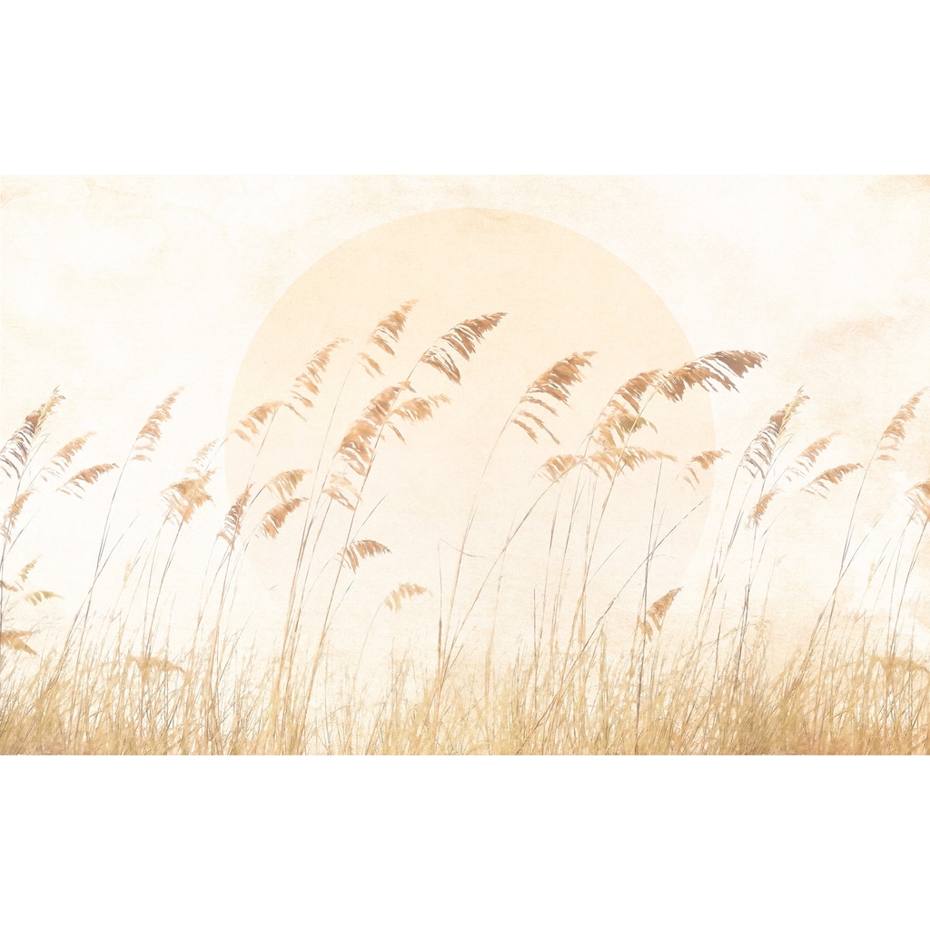 Komar Vliestapete »Dune Grass«