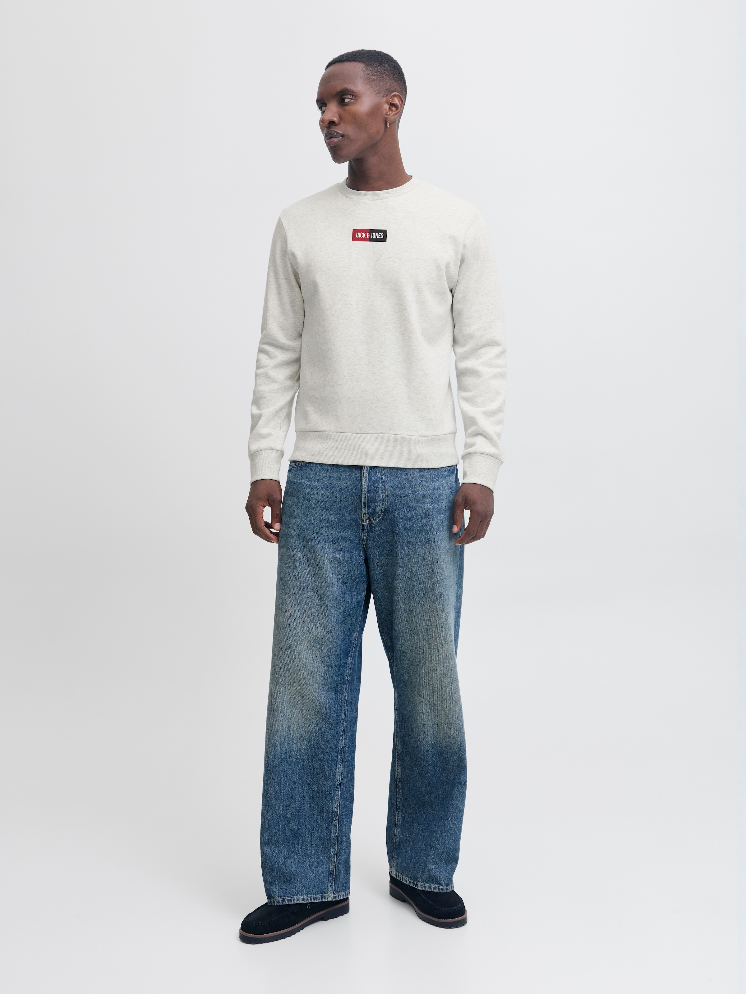 Jack & Jones Sweater »JJPAN SWEAT CREW NECK«