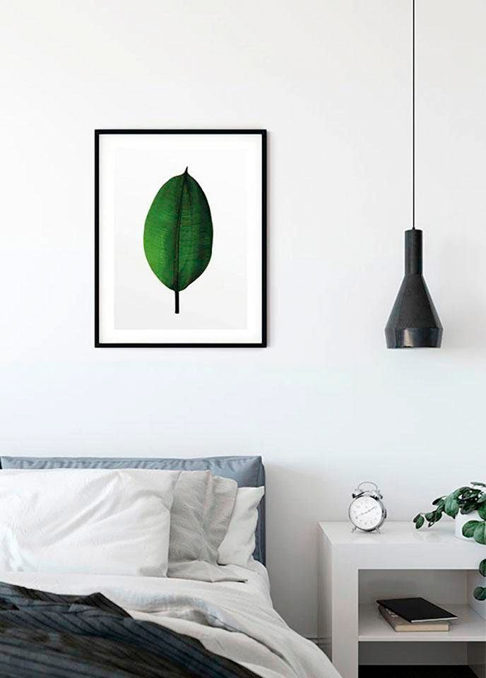 Komar Poster Leaf«, Schlafzimmer, | Pflanzen-Blätter, St.), Kinderzimmer, Wohnzimmer »Ficus (1 BAUR