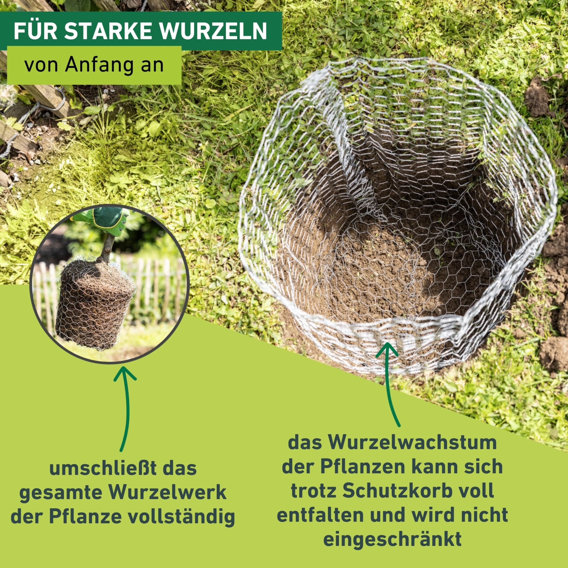 Windhager Mäusegitter »Wühlmaus Schutzkorb gegen Wurzelverbiss durch Wühlmäuse« Ø 35 cm, Höhe 40 cm, oder Ø 60 cm, Höhe 70 cm, verzinkt