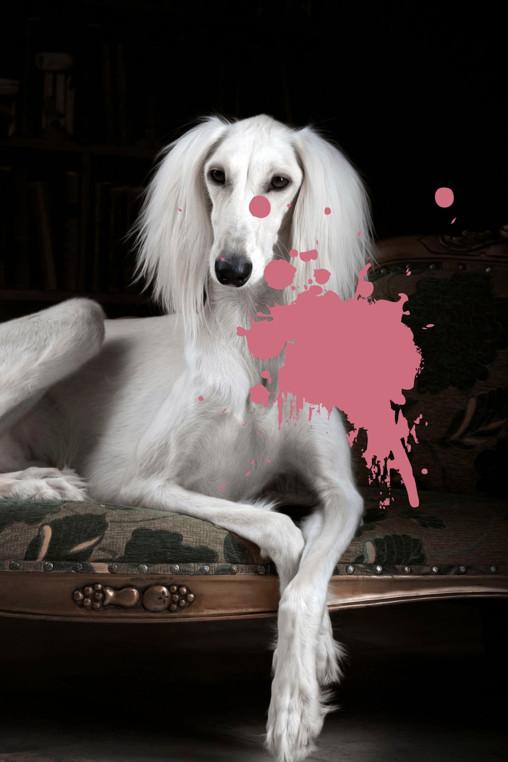 queence Acrylglasbild "Hund mit Farbklecks" Formen Gemälde Haustiere Historische Persönlichkeiten Hunde Hundebilder Kunst Fine Art-Print in Galeriequalität