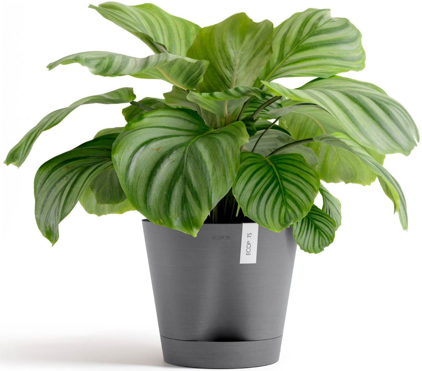 ECOPOTS Blumentopf »Venice 2 30 Grau« für den Innenbereich