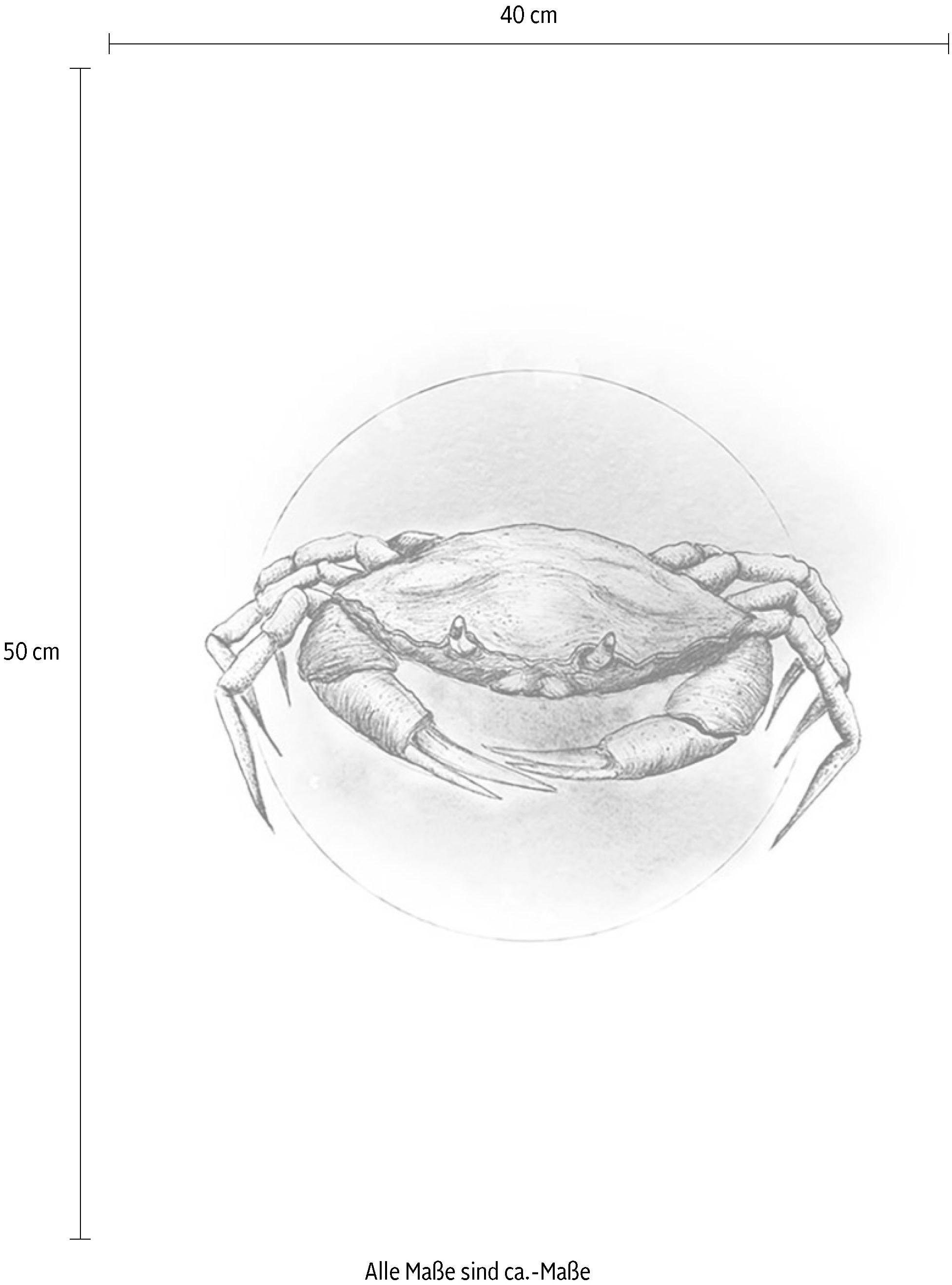 Komar Bild »Crab Watercolor«, Tiere, (1 St.), Wandbild zur Dekoration - ohne Rahmen