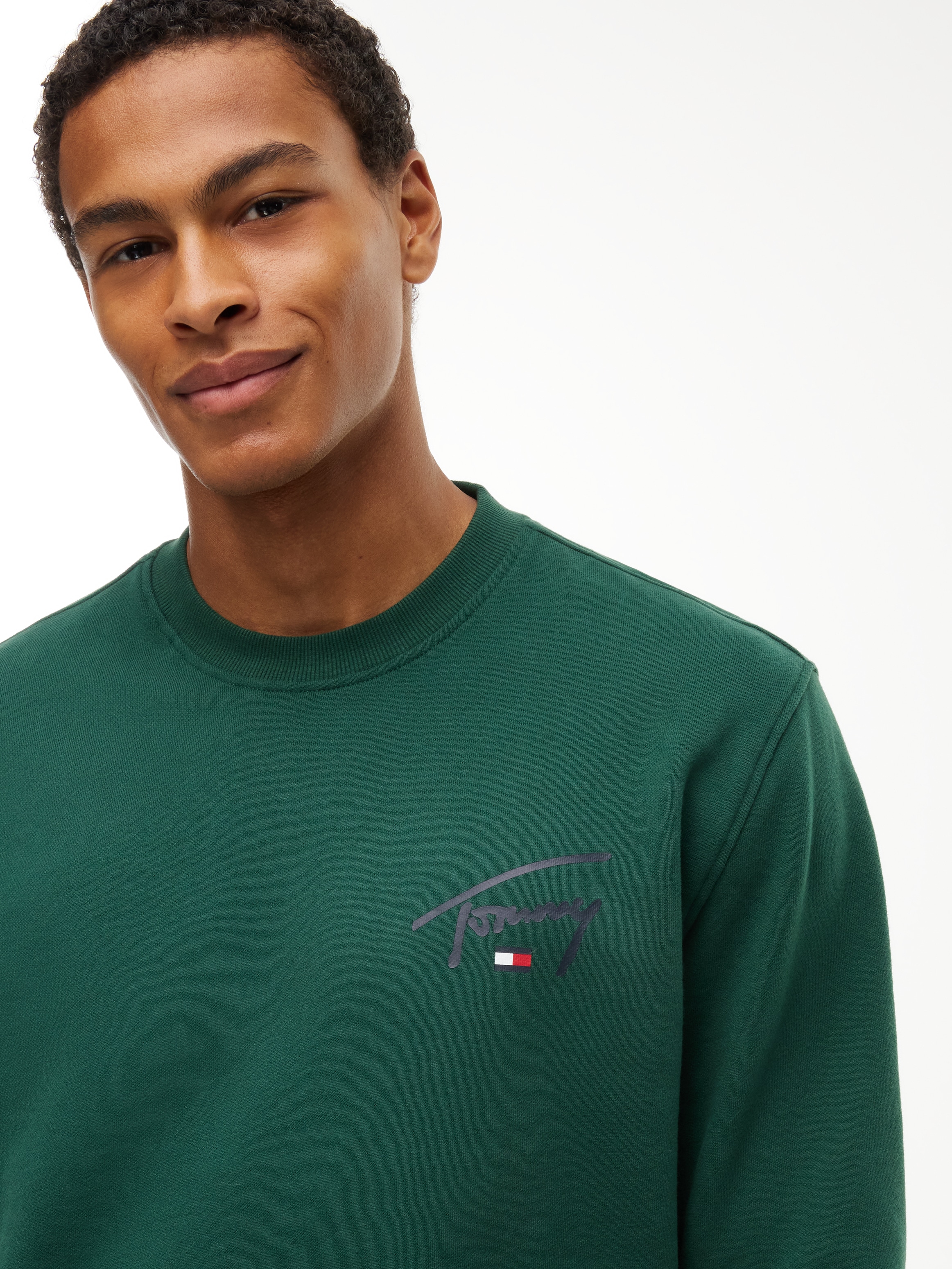 Tommy Jeans Sweatshirt »REGULAR ENTRY SIGNATURE«, Regular fit mit Rundhalsausschnitt
