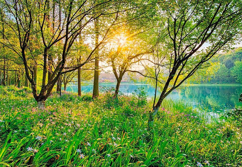 Komar Fototapetas »Spring Lake« 368x254 cm (...