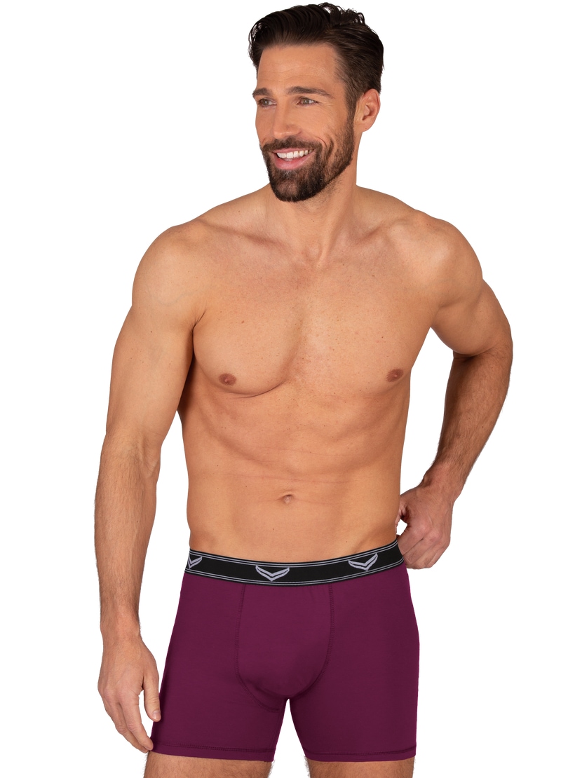 Trigema Boxer "TRIGEMA Bequeme Pants mit Webgummibund", (1 St.)