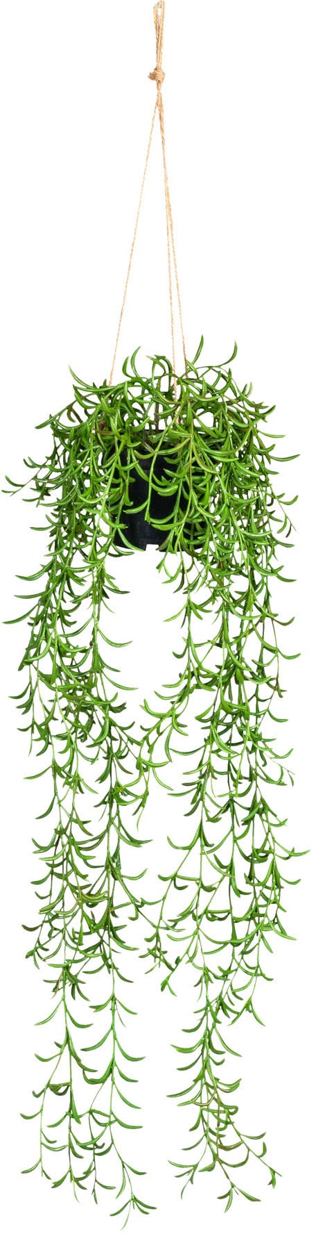 Kunstranke »Nerifolia-Hänger«, im Hängetopf aus Kunststoff
