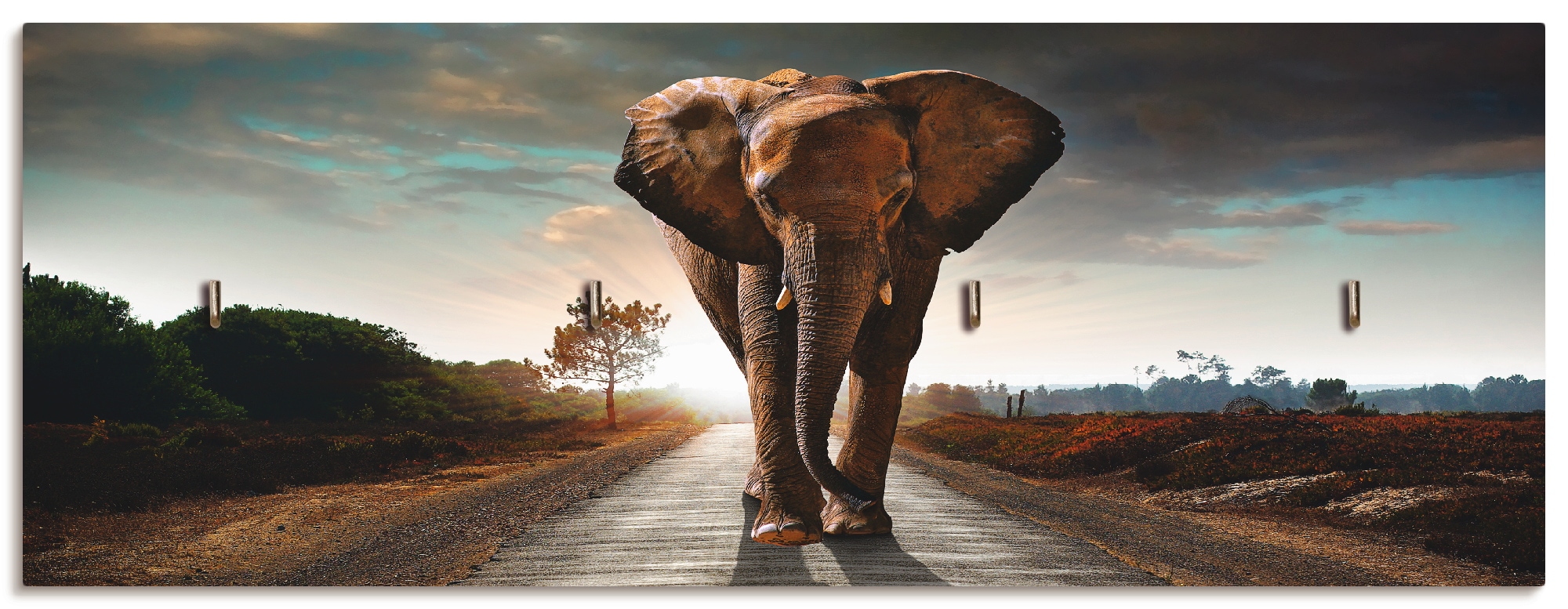Artland Hakenleiste »Ein Elefant läuft auf der Straße«, MDF