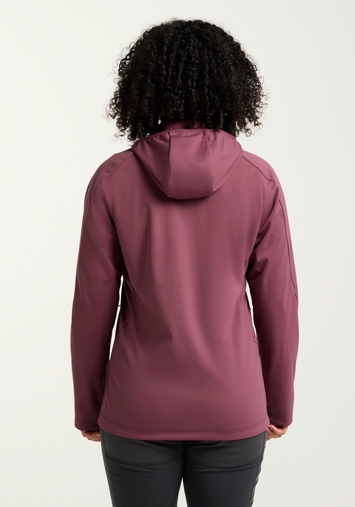 Jack Wolfskin Funktionsjacke »HIKE WITH ME HOODY W«, mit Kapuze