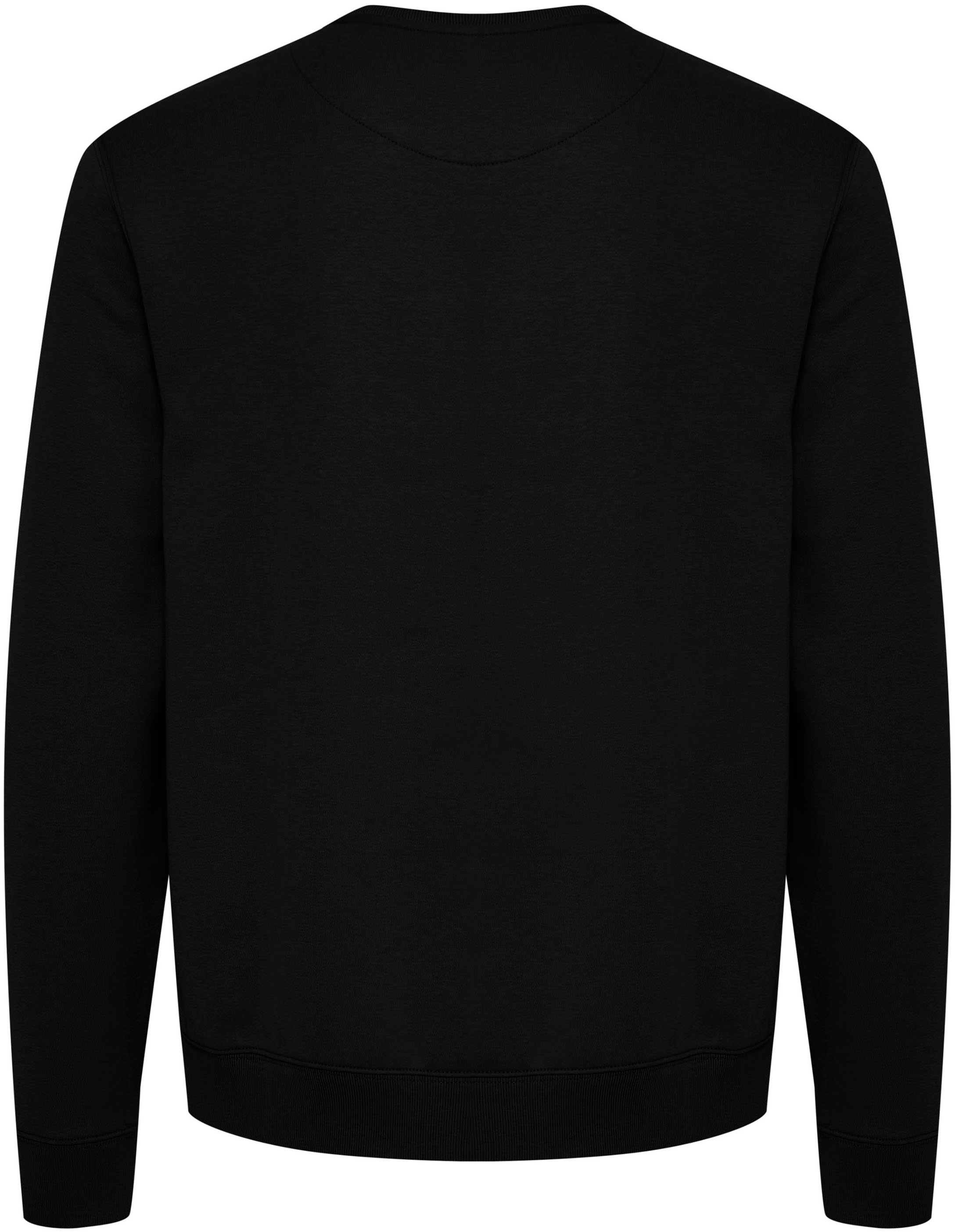 Blend Sweatshirt »BHDOWNTON CREW«