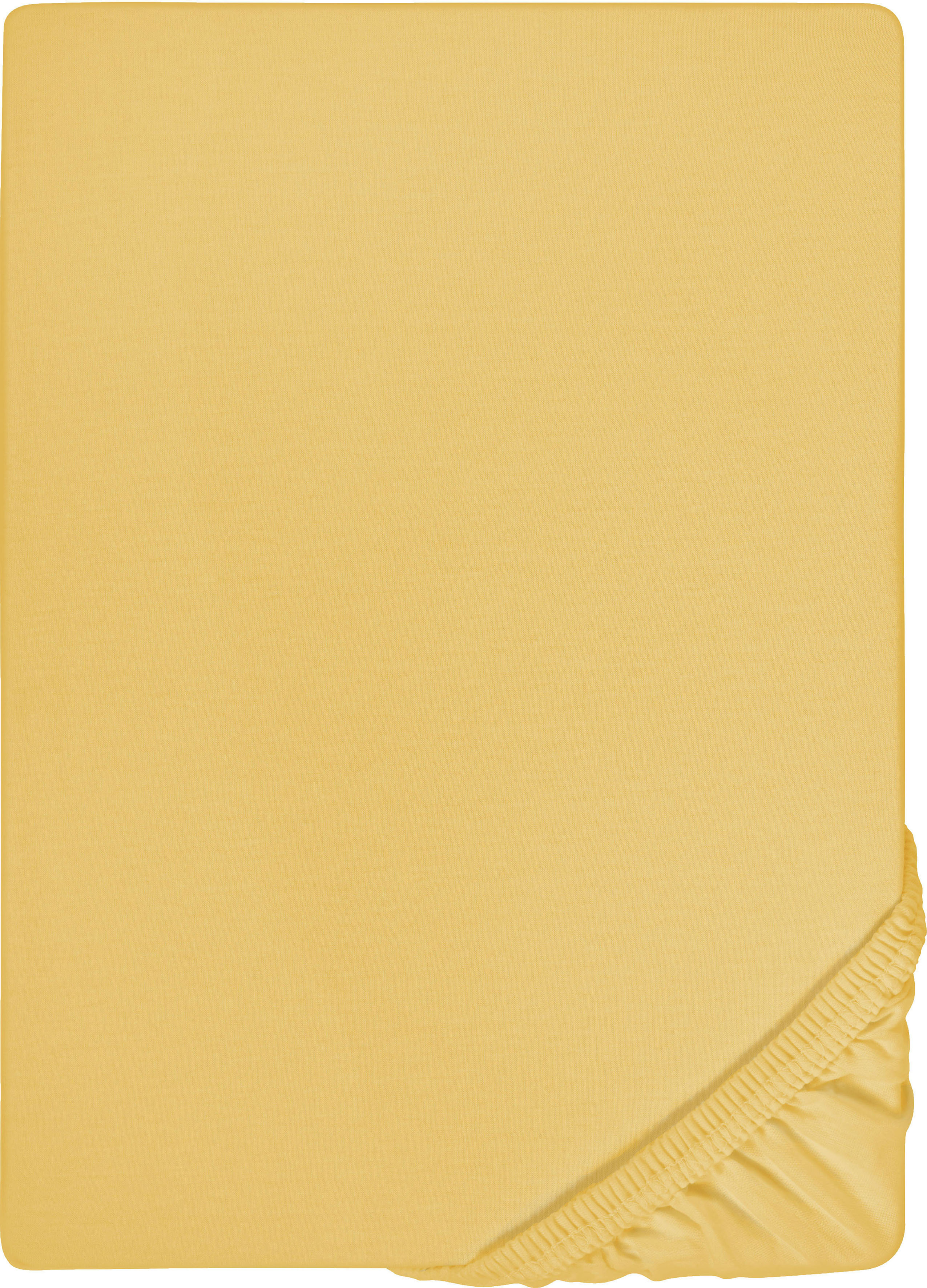 Biberna Spannbettlaken "0077866 Deluxe Jersey-Elastic Spannbetttuch 97% Baumwolle" Jersey mit Elasthan, Rundumgummi, bügelfrei, ab Größe 90 x 190 cm i
