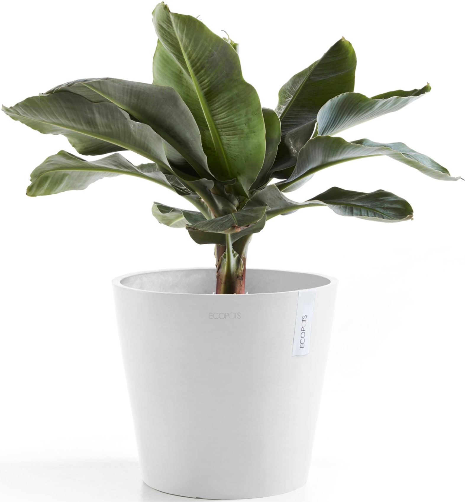 ECOPOTS Blumentopf »Amsterdam 40 Weiß«, für innen und außen: frostsicher, bruchsicher und lichtbeständig