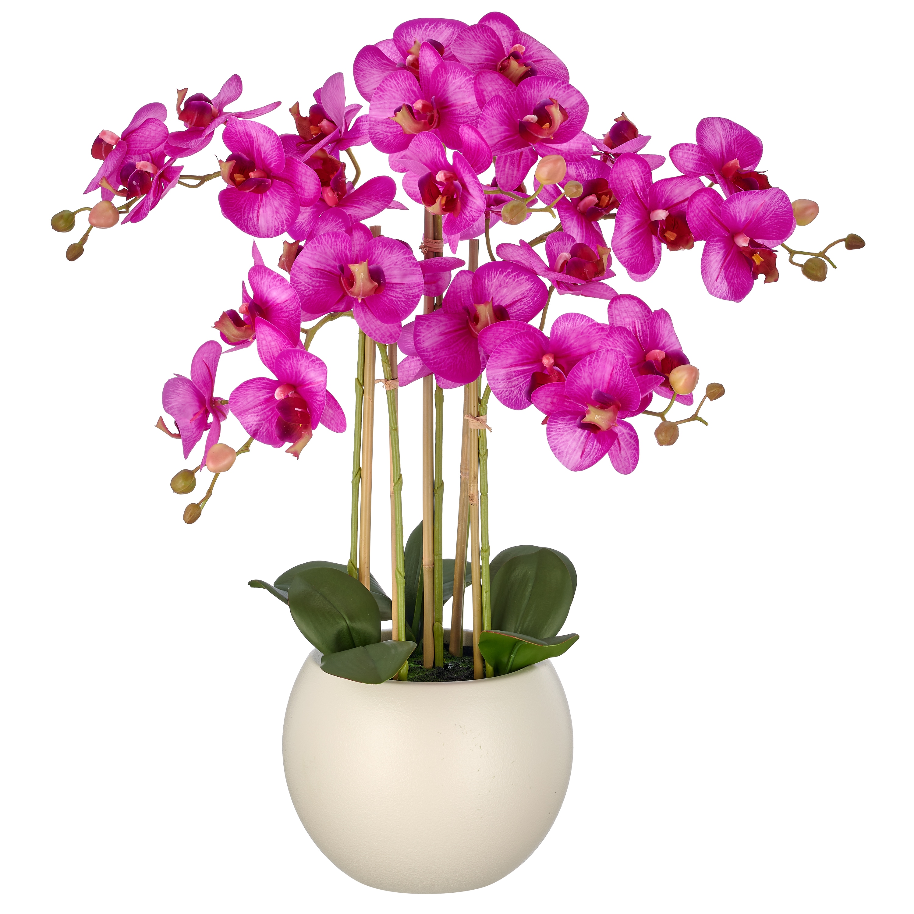 Creativ green Kunstorchidee "Phalaenopsis" mit Real-Touch-Blüten