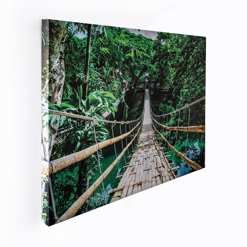 Art for the home Leinwandbild »Classique Jungle«, Pflanzen