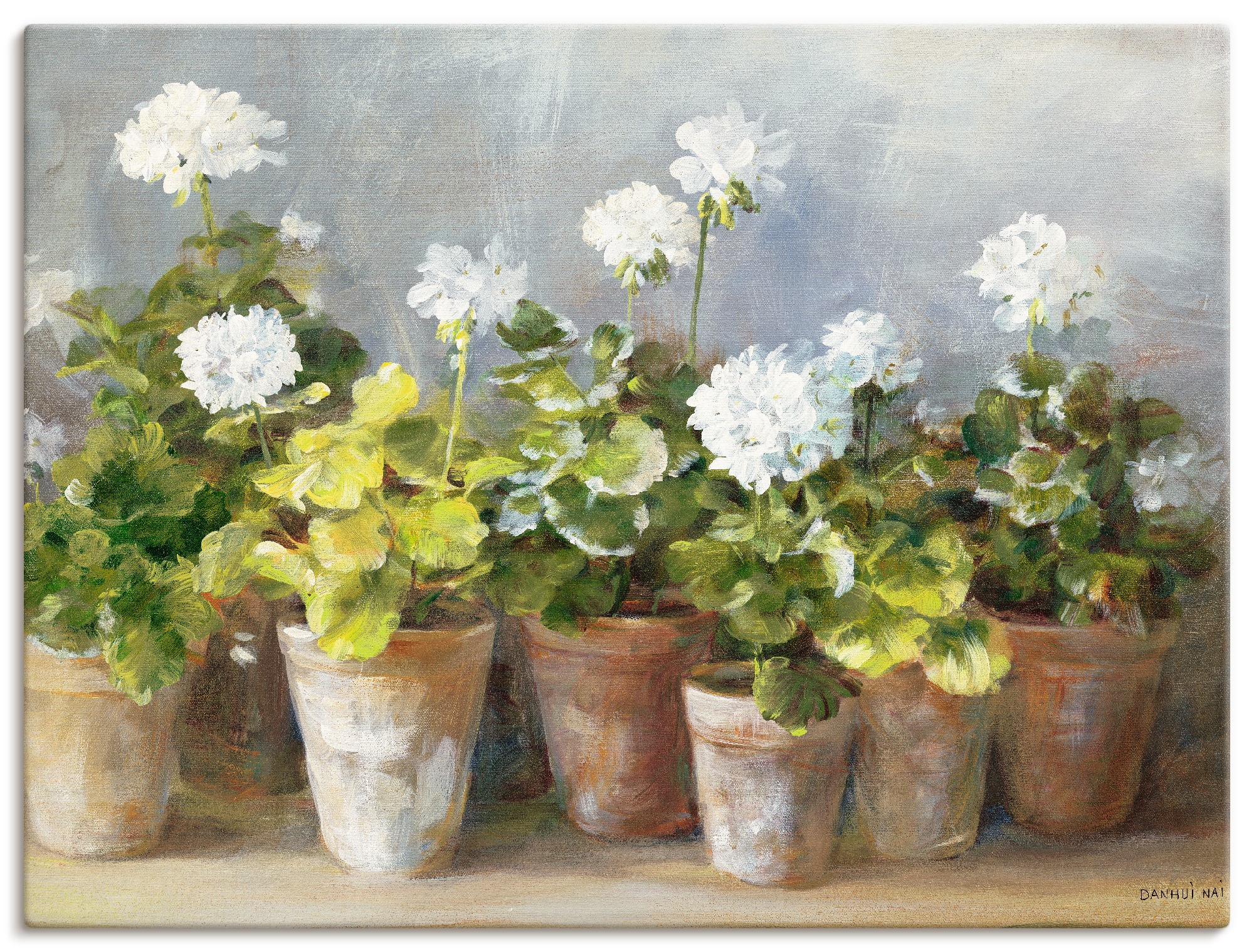 Artland Wandbild »Weiße Geranien«, Blumen, (1 St.), als Leinwandbild, Poster in verschied. Größen