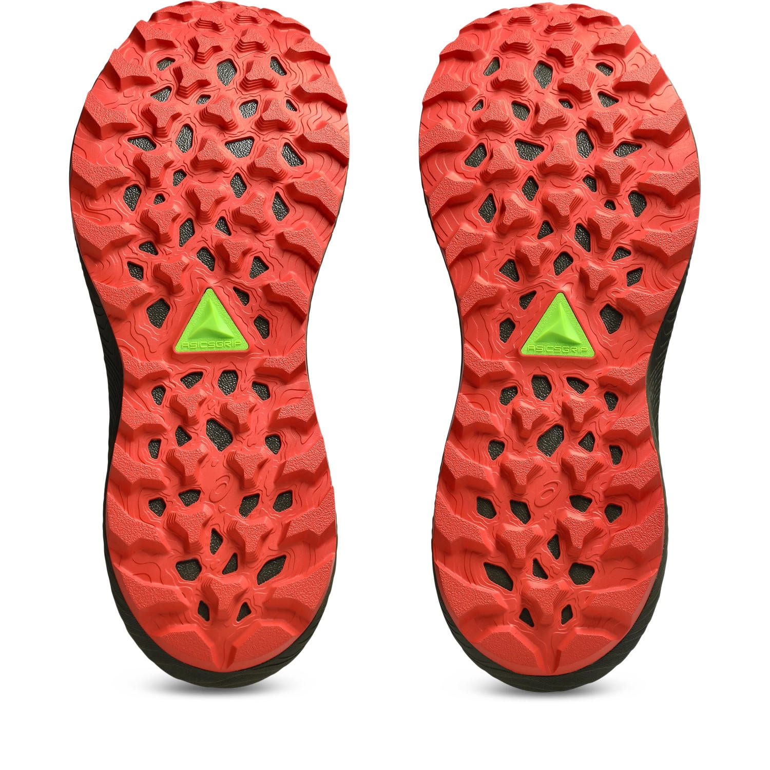 Asics Trailrunningschuh »TRABUCO TERRA 3«