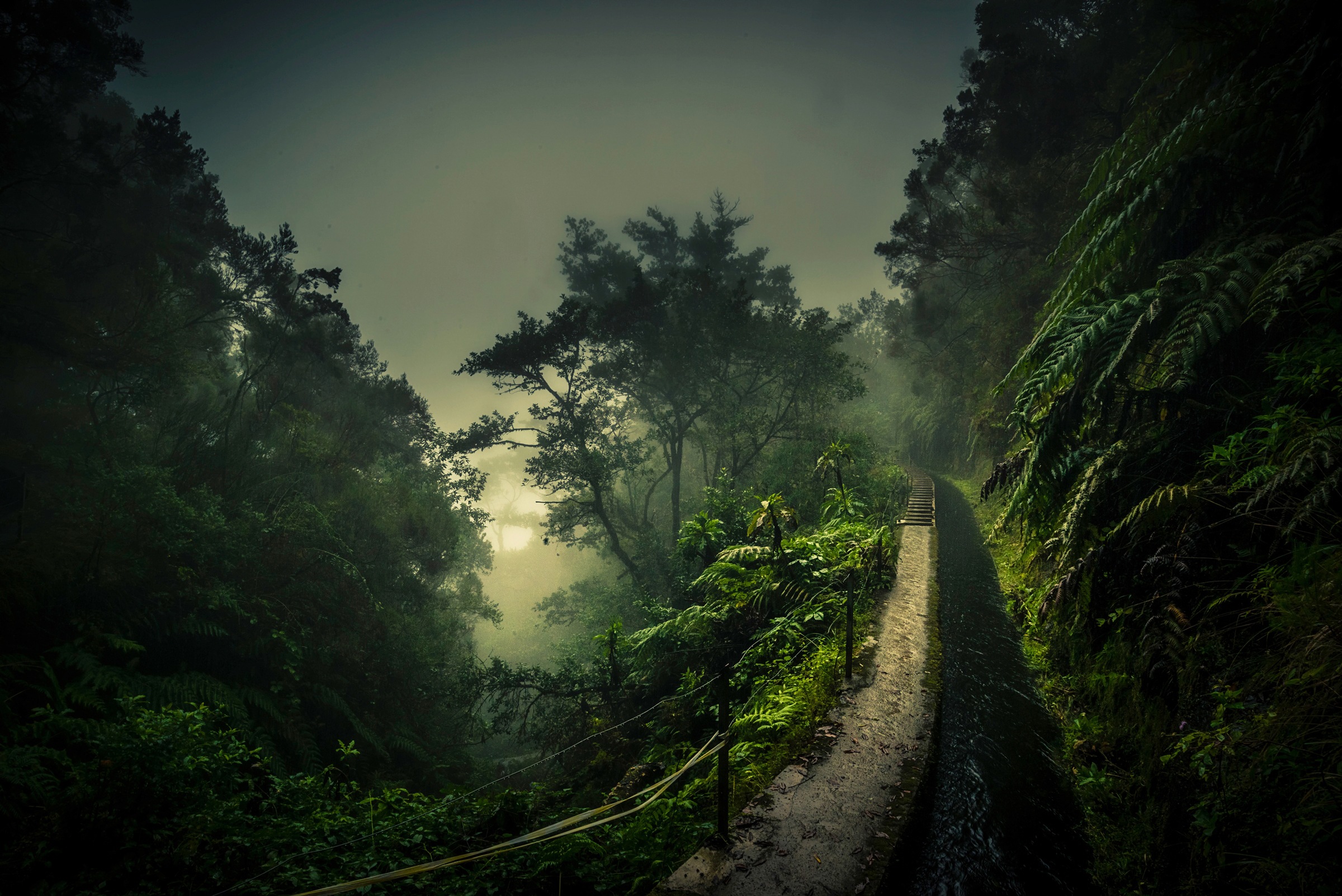 Papermoon Fototapete "Photo-Art ROLAND WEBER, LEVADA WALK" günstig online kaufen