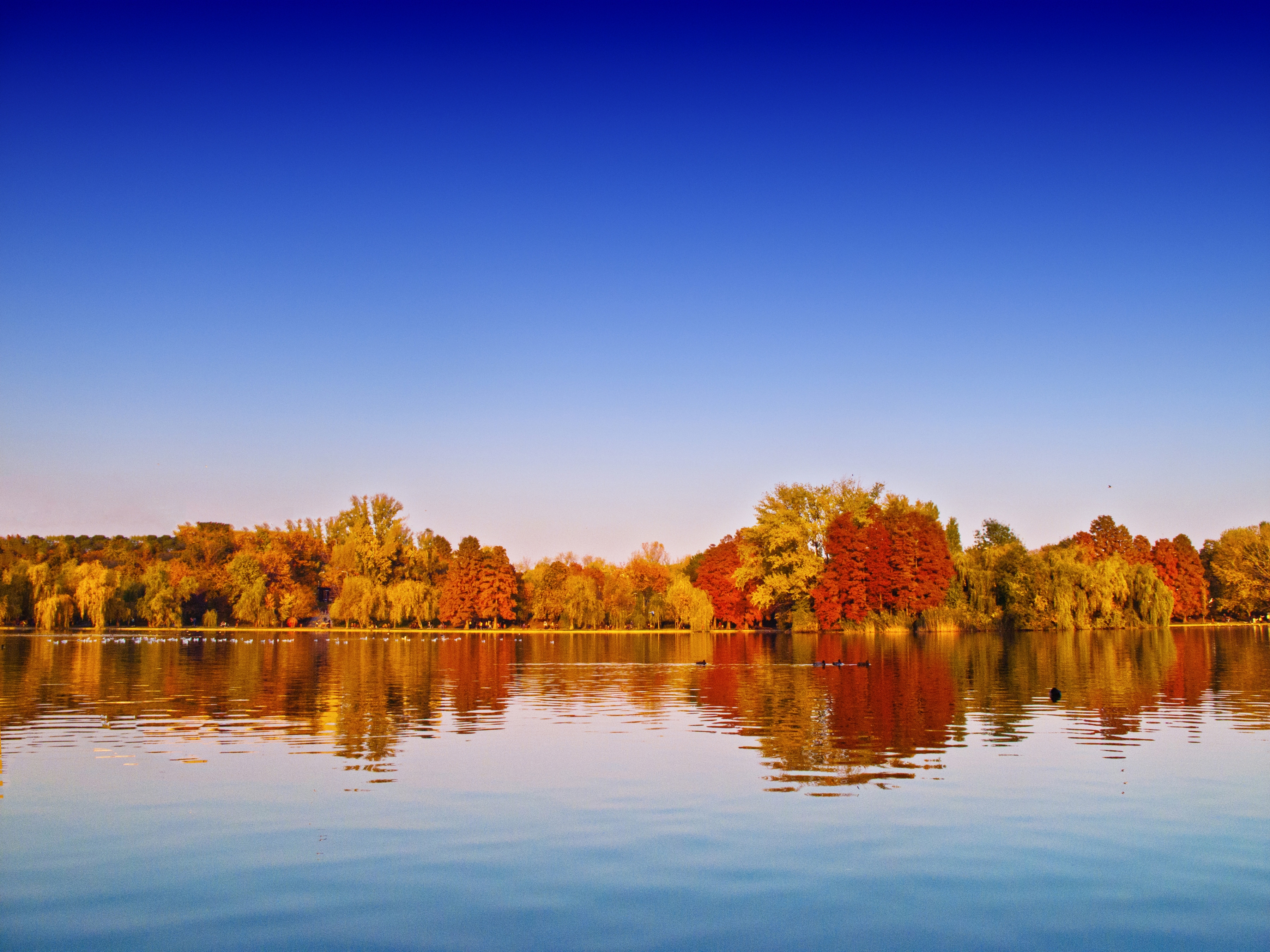 Papermoon Fototapete "Autumn Lake" glatt
