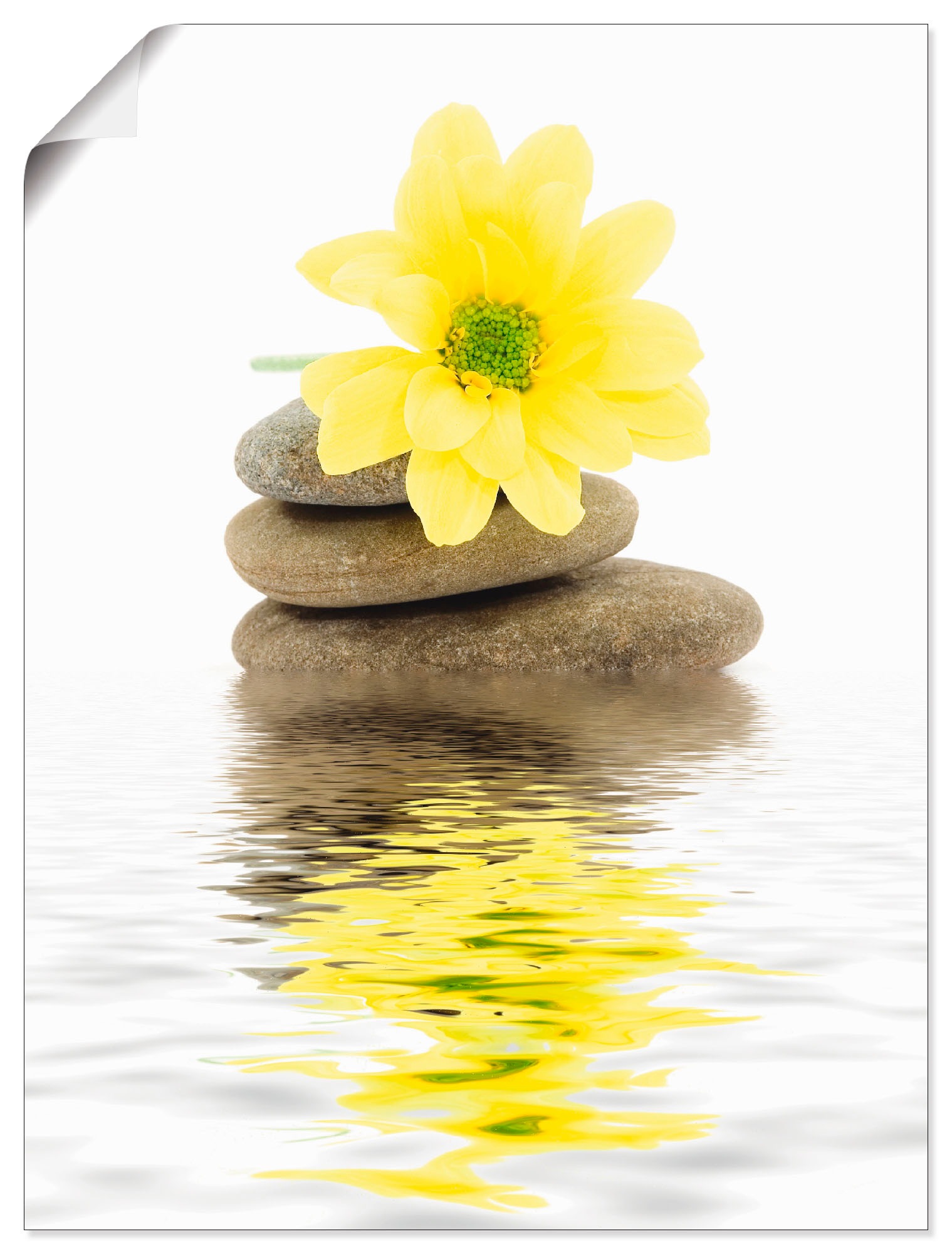 Artland Wandbild "Zen Spa Steine mit Blumen II", Zen, (1 St.), als Alubild, günstig online kaufen