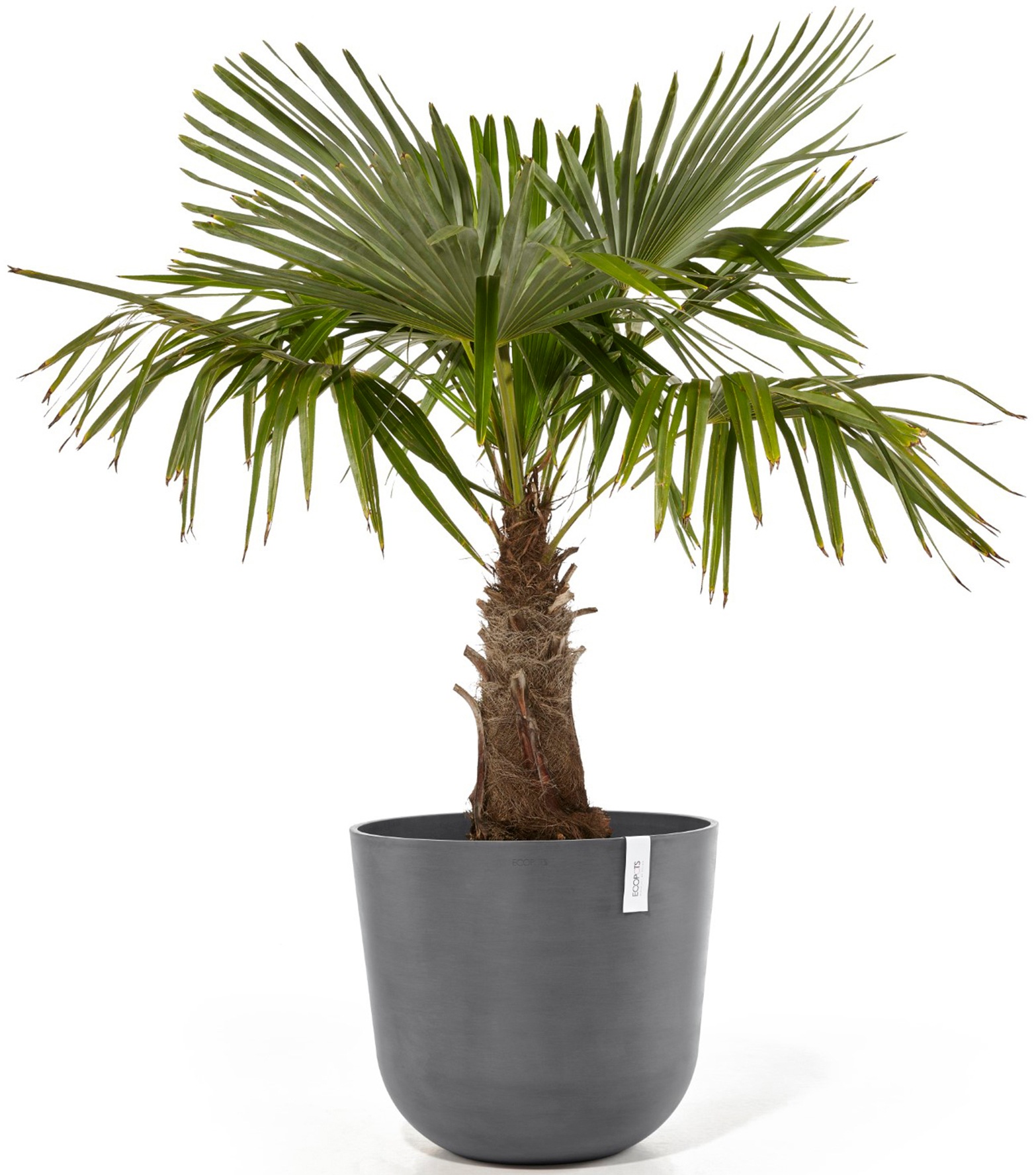 ECOPOTS Blumentopf »Oslo 55 + Wassersystem Grau«, für innen und außen: frostsicher, bruchsicher und lichtbeständig