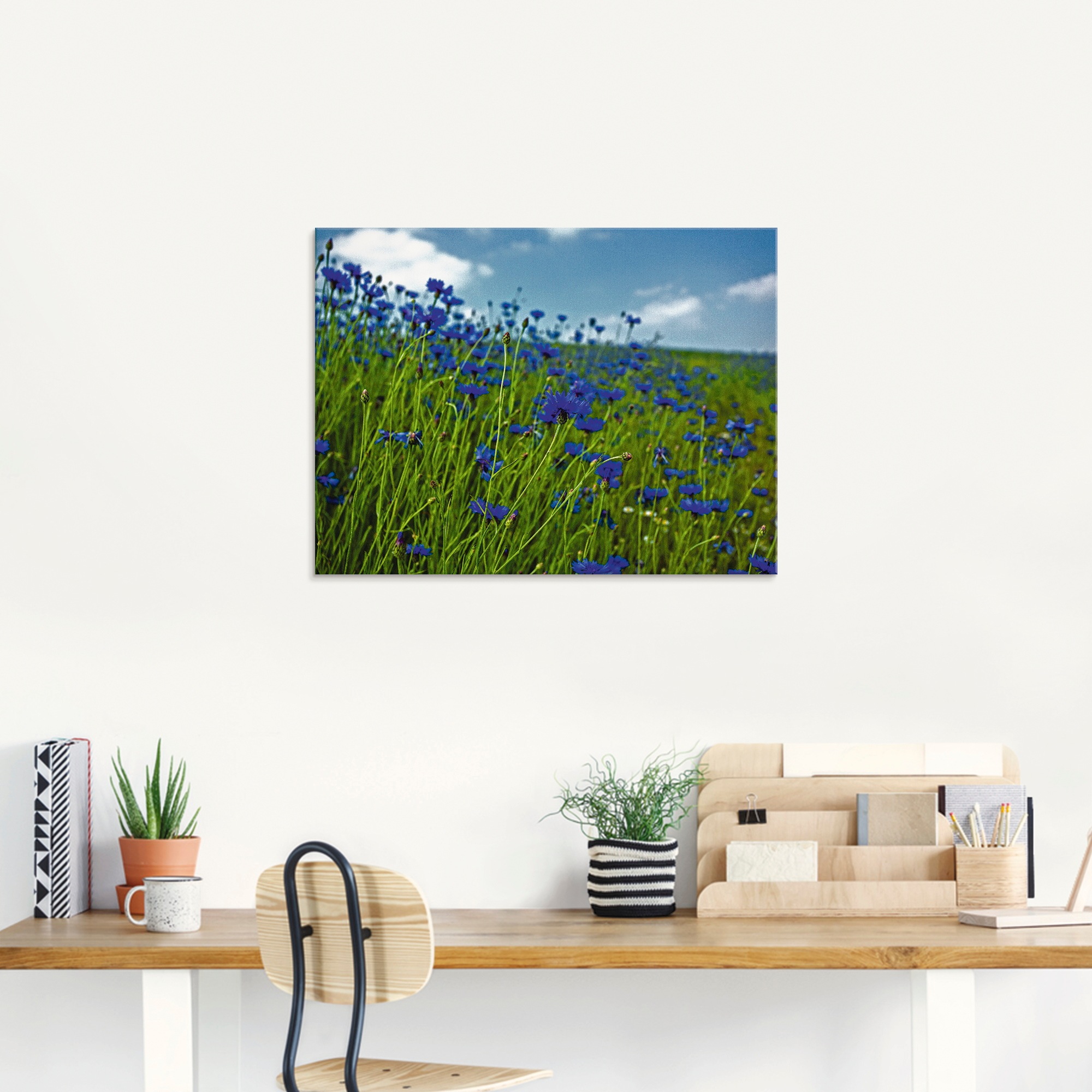 Artland Glasbild »Kornblumenwiese«, Blumenwiese, (1 St.), in verschiedenen Größen