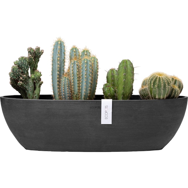 ECOPOTS Blumentopf »SOFIA LONG Dark Grey«, BxTxH: 14x14x16 cm kaufen | BAUR