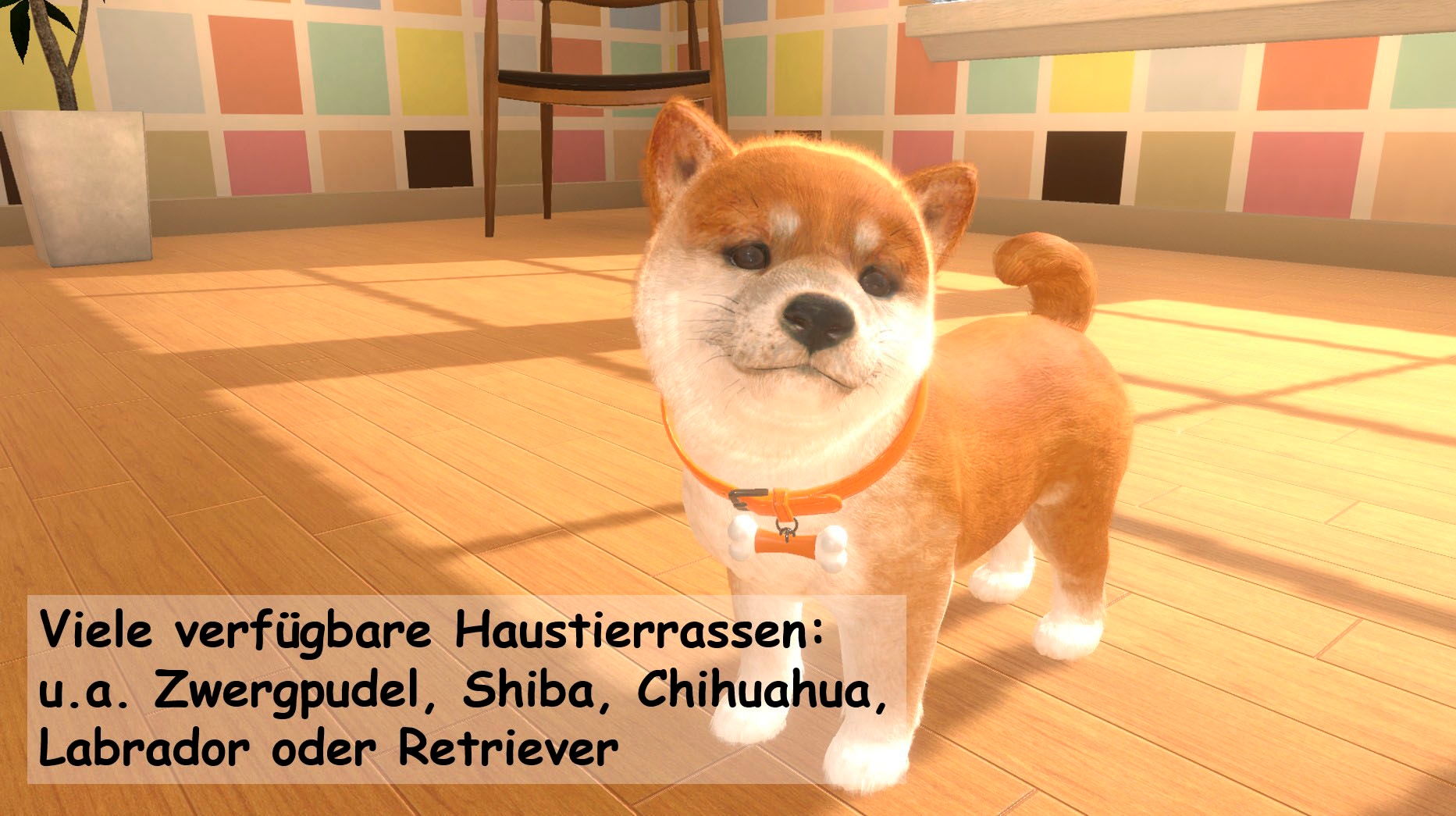 Sold Out Spielesoftware »Little Friends: Dogs & Cats - Code in a box - [Nintendo Switch]« Nintendo Switch