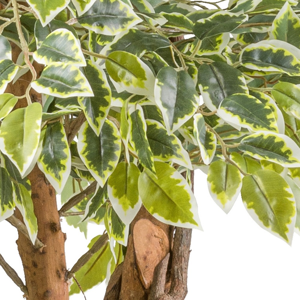 Creativ green Kunstpflanze "Ficus benjamina", mit Naturstamm günstig online kaufen