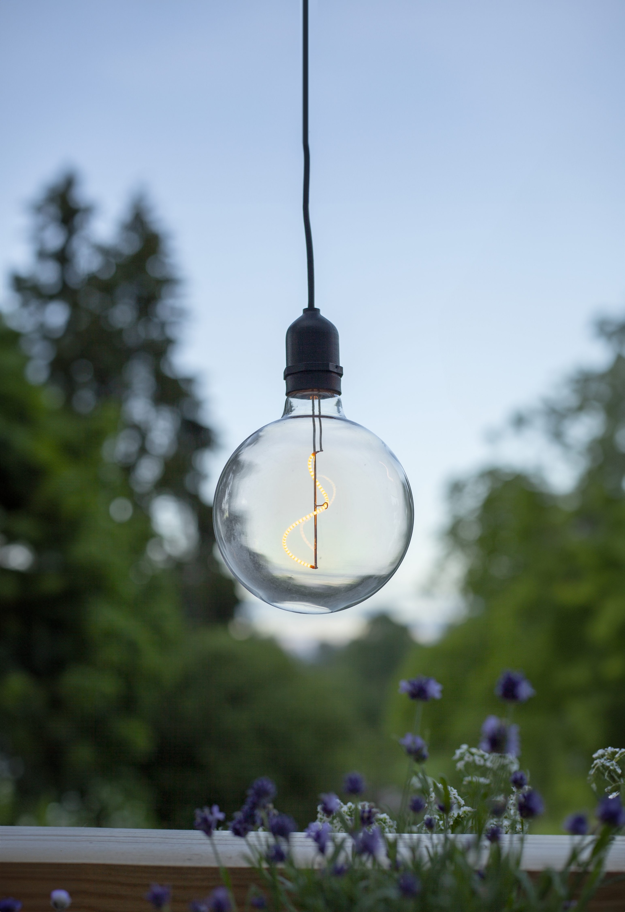 Parforce Traditional Hunting LED-Hängeleuchte »Hängeleuchte Bowl« LED-Board 1 Stk. Warmweiß Glaskugel, warmweißes Filament-Licht, Batteriebetrieb, Timer