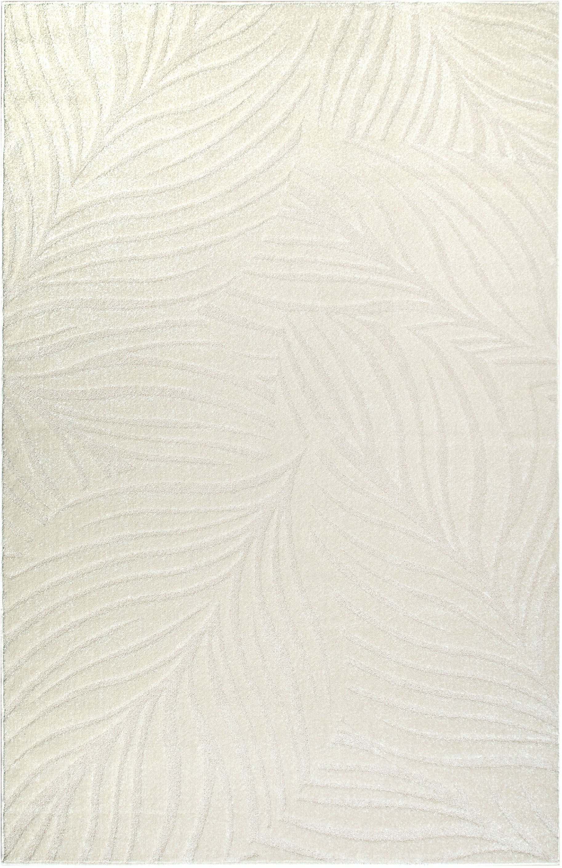 my home Teppich "Calmura, Blätter-Design in Hoch-Tief-Struktur" rechteckig günstig online kaufen