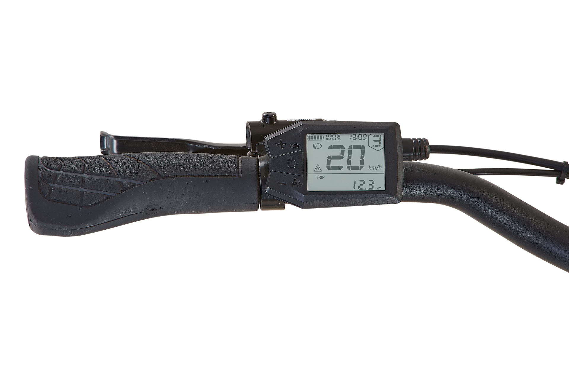 Prophete »Prophete Geniesser 3.3« 7 Gang Shimano Nexus Schaltwerk Nabenschaltung Mittelmotor 250 W