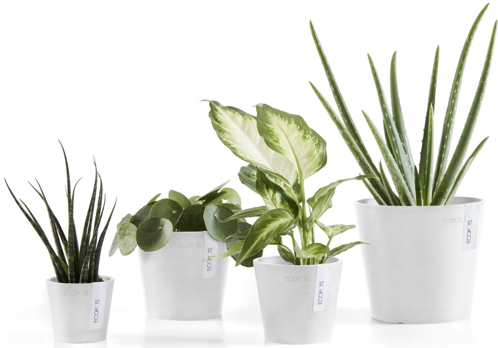 ECOPOTS Blumentopf »Amsterdam Mini 13 Weiß«, für den Innenbereich