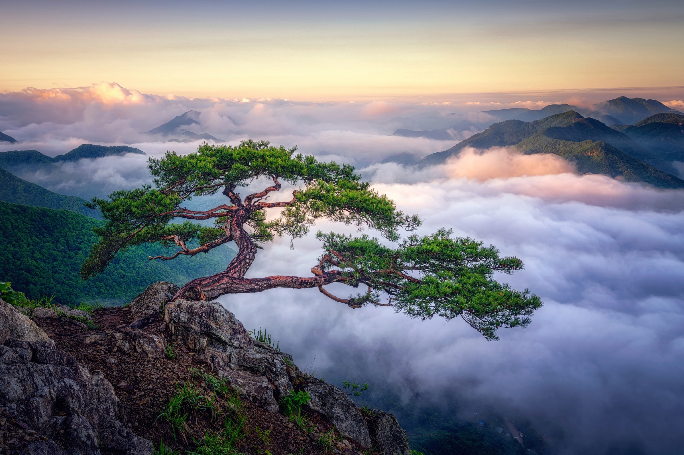 Papermoon Fototapete »Photo-Art TIGER SEO, AUF DEM BERG«