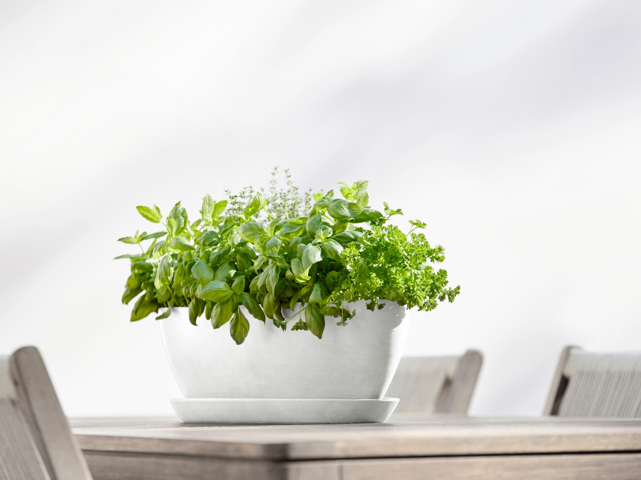 ECOPOTS Blumentopf »Sofia lang 56 Weiß«, für innen und außen: frostsicher, bruchsicher und lichtbeständig