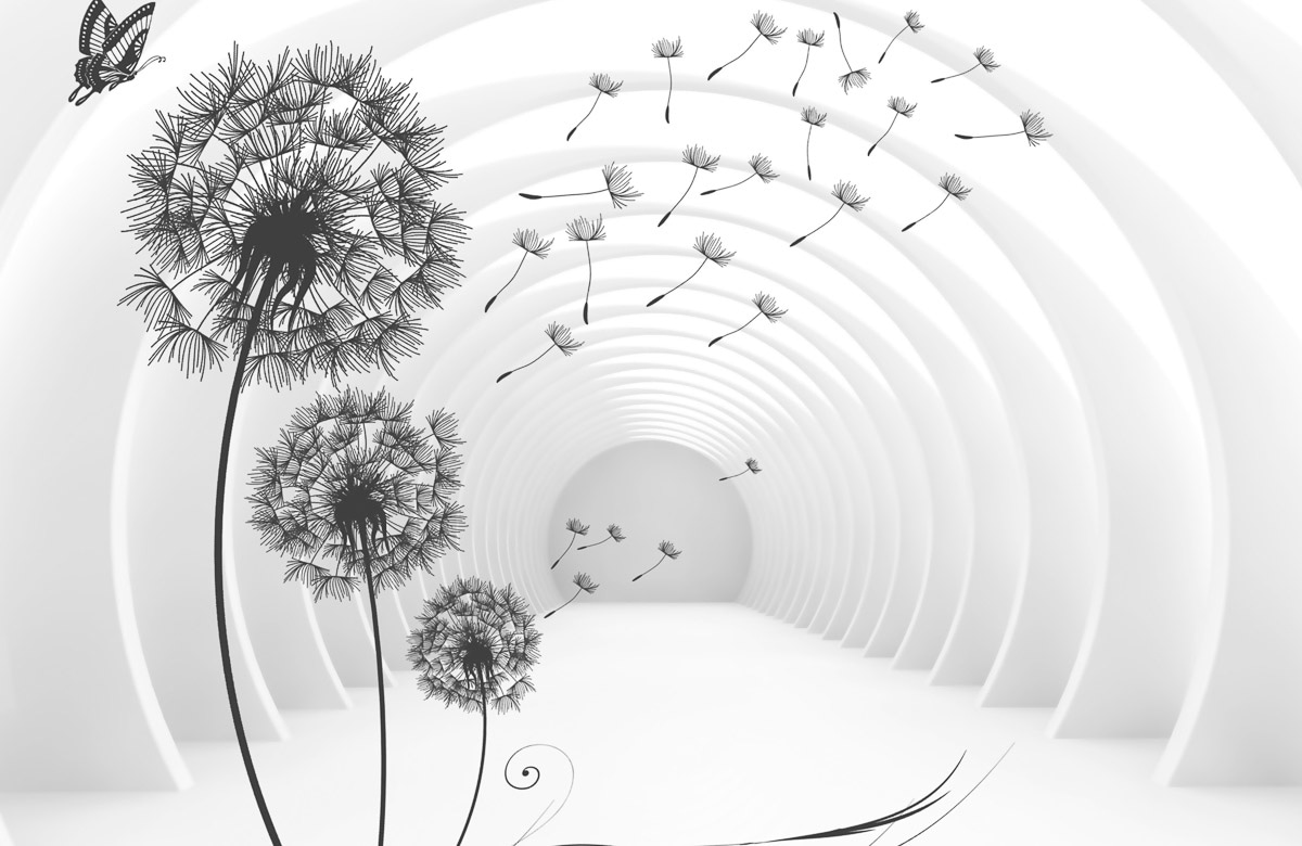 Papermoon Fototapete "Pusteblumen" günstig online kaufen