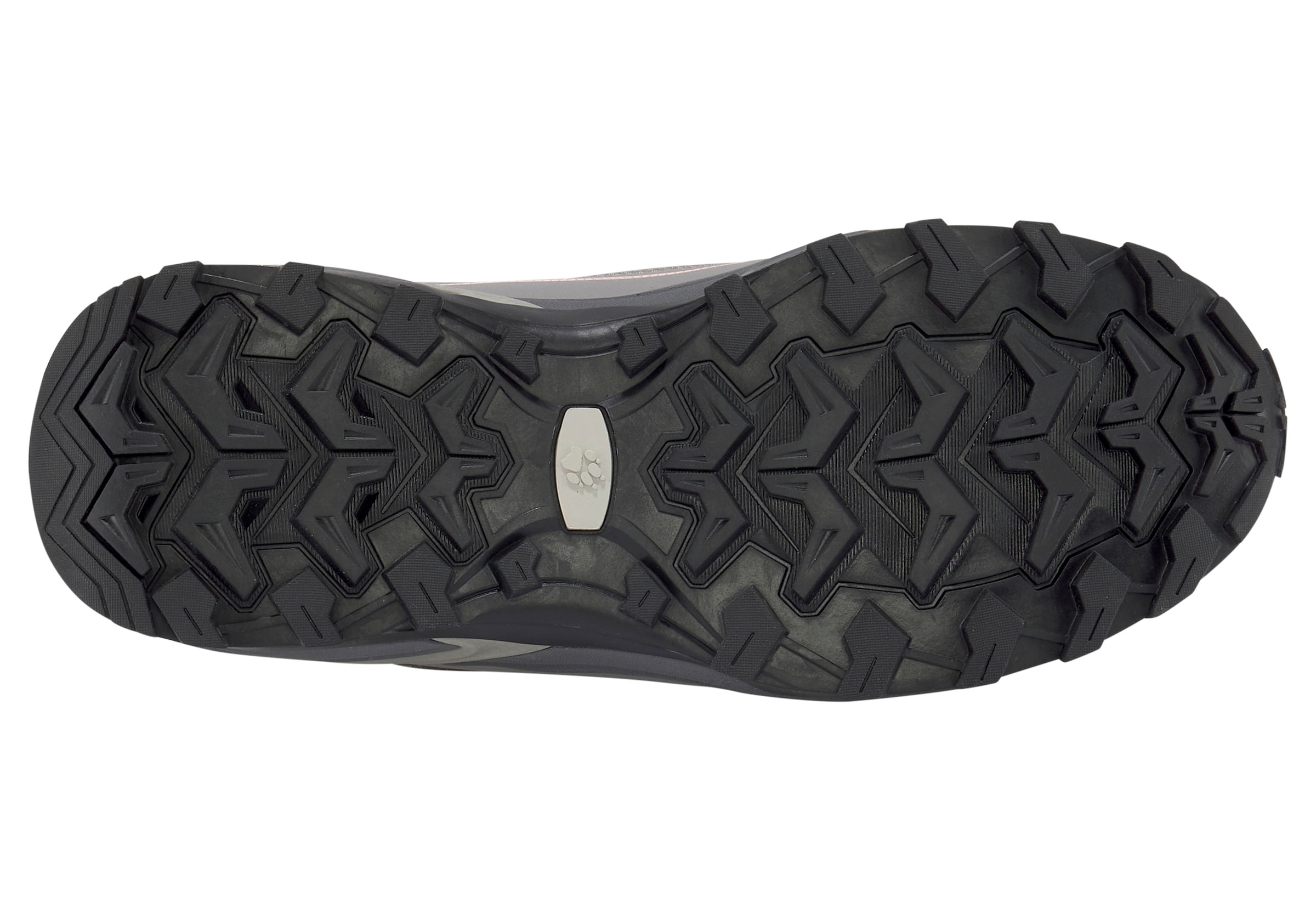 Jack Wolfskin Wanderschuh »CRUISER TEXAPORE LOW W«
