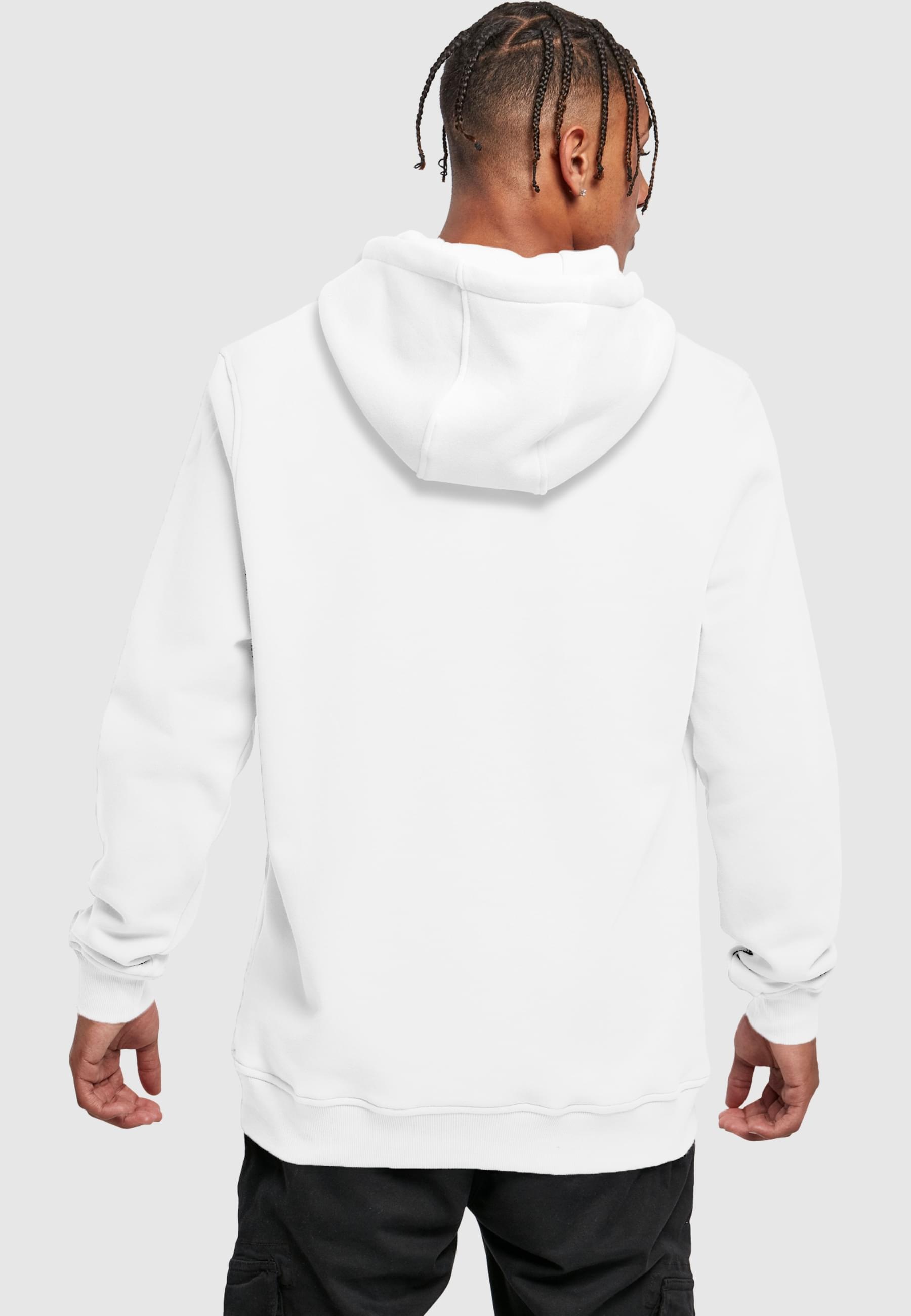 MisterTee Kapuzensweatshirt »MisterTee Herren Seagull Sneakers Hoody«, (1 tlg.)
