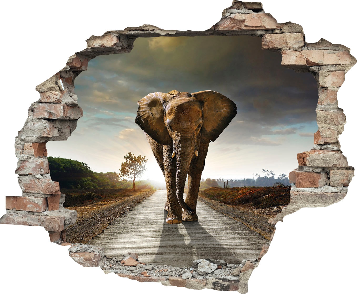 queence Wandtattoo »Elefant« (1 St.) paveiksla...