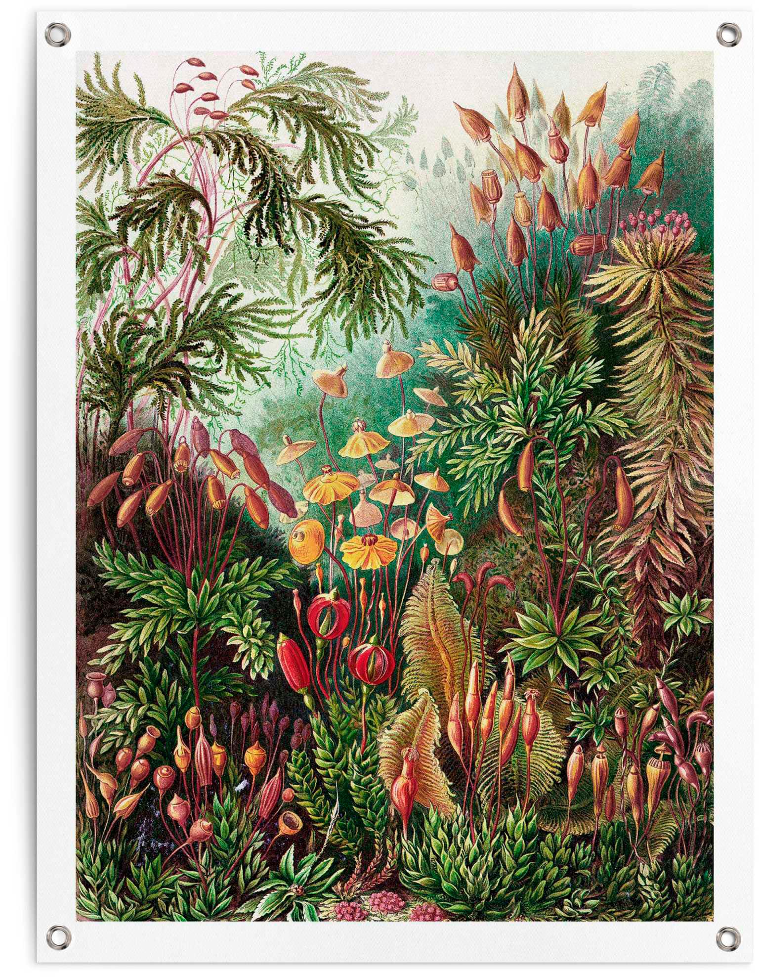 Reinders Poster "Sea Flora"