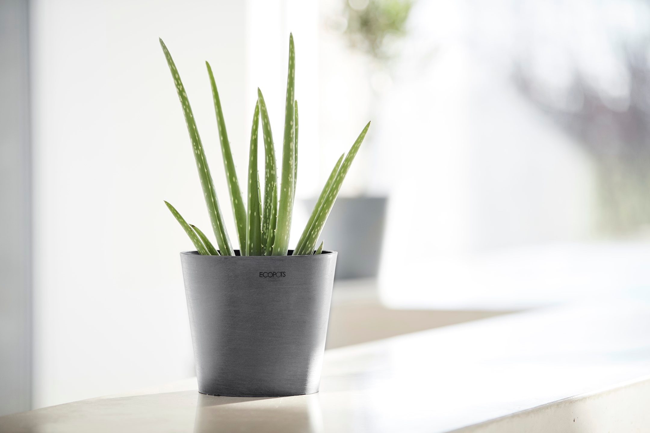ECOPOTS Blumentopf »AMSTERDAM Mini Grey«, BxTxH: 17x17x14,9 cm